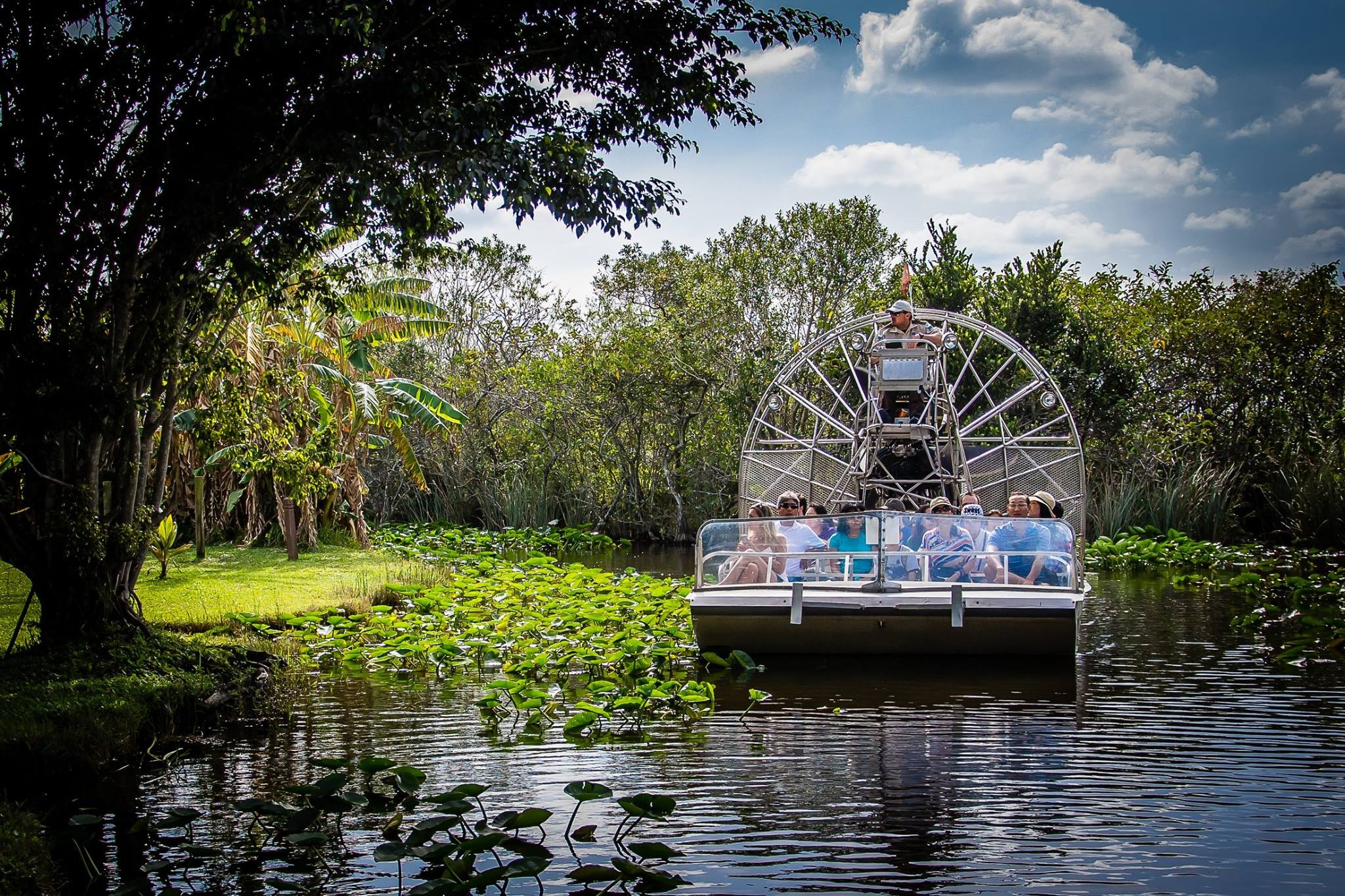 Everglades National Park, Safari park, Must-see attractions, Nearby sights, 2050x1370 HD Desktop