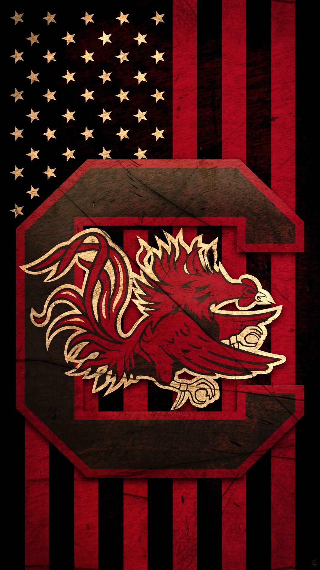 Gamecocks, Team logo, College sports, Strong identity, 1080x1920 Full HD Phone