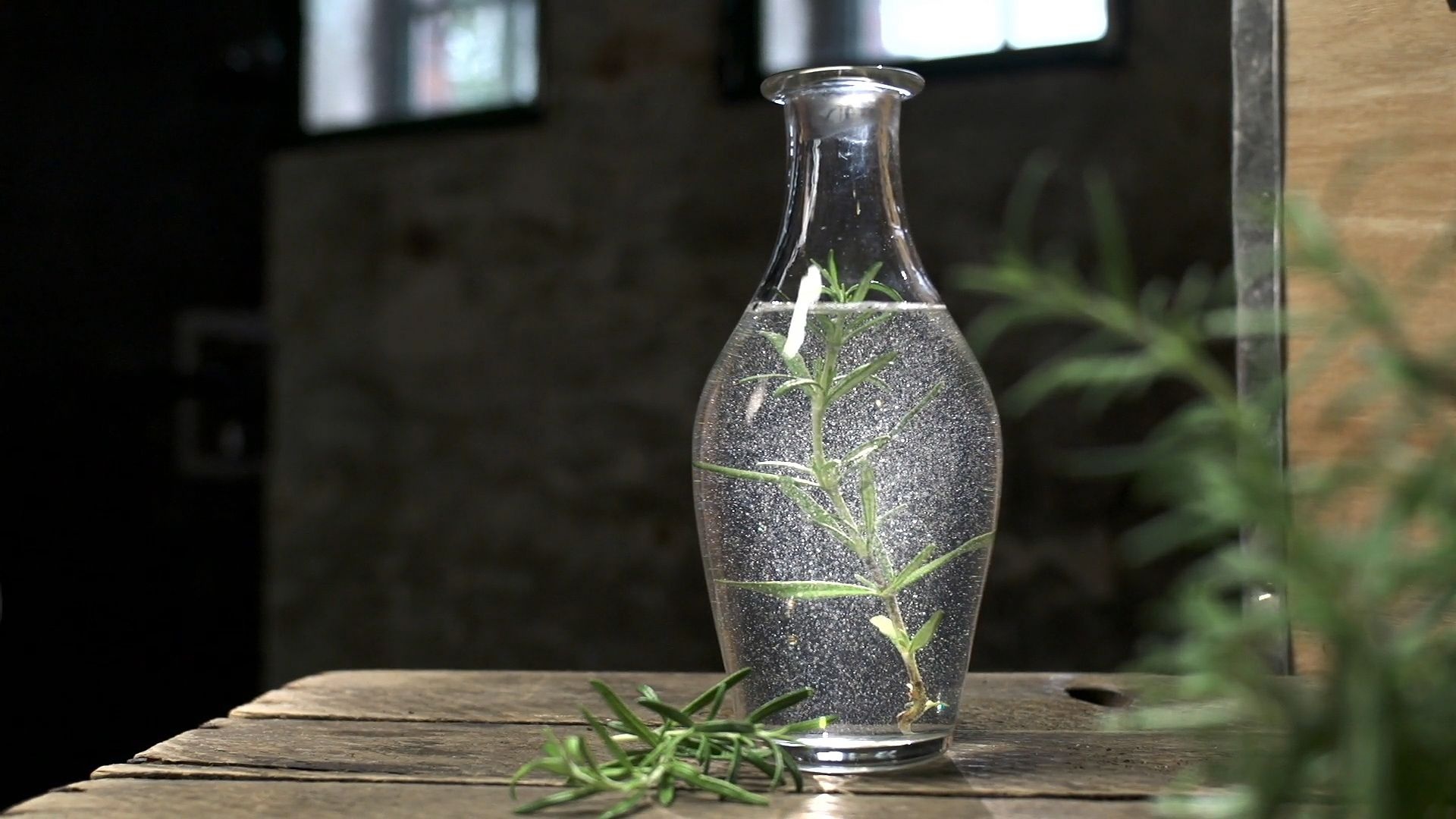 Healing powers, Seasoning herb, Excellent seasoning, Rosemary, 1920x1080 Full HD Desktop