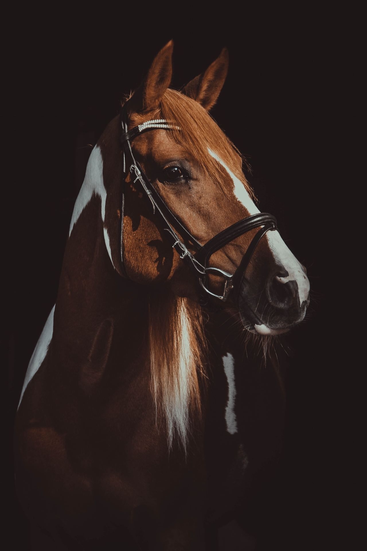 Equestrian elegance, Noble steeds, Horse painting, Timeless masterpiece, 1280x1920 HD Phone