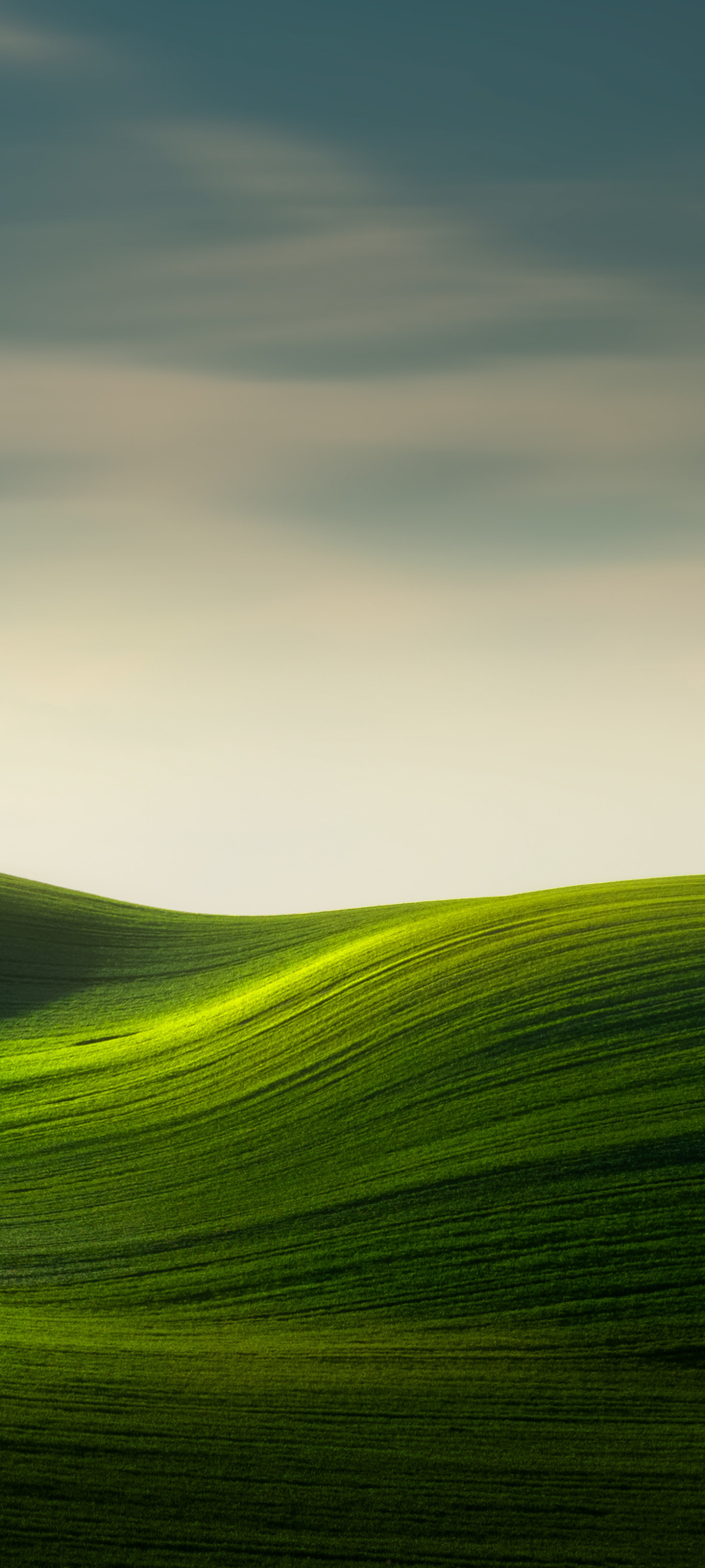 undulating green fields, sunlit grassy slope, overcast gradient sky, HD Phone wallpaper