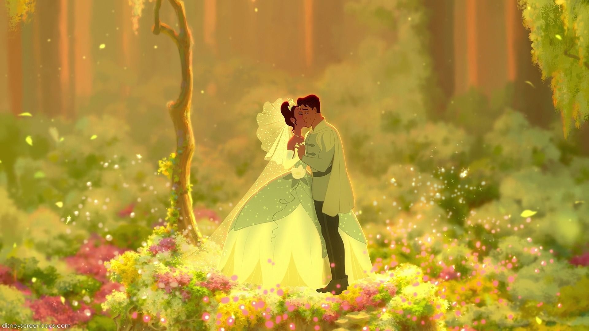 Princess and the Frog, New Orleans, Frog prince, Disney dreams, 1920x1080 Full HD Desktop