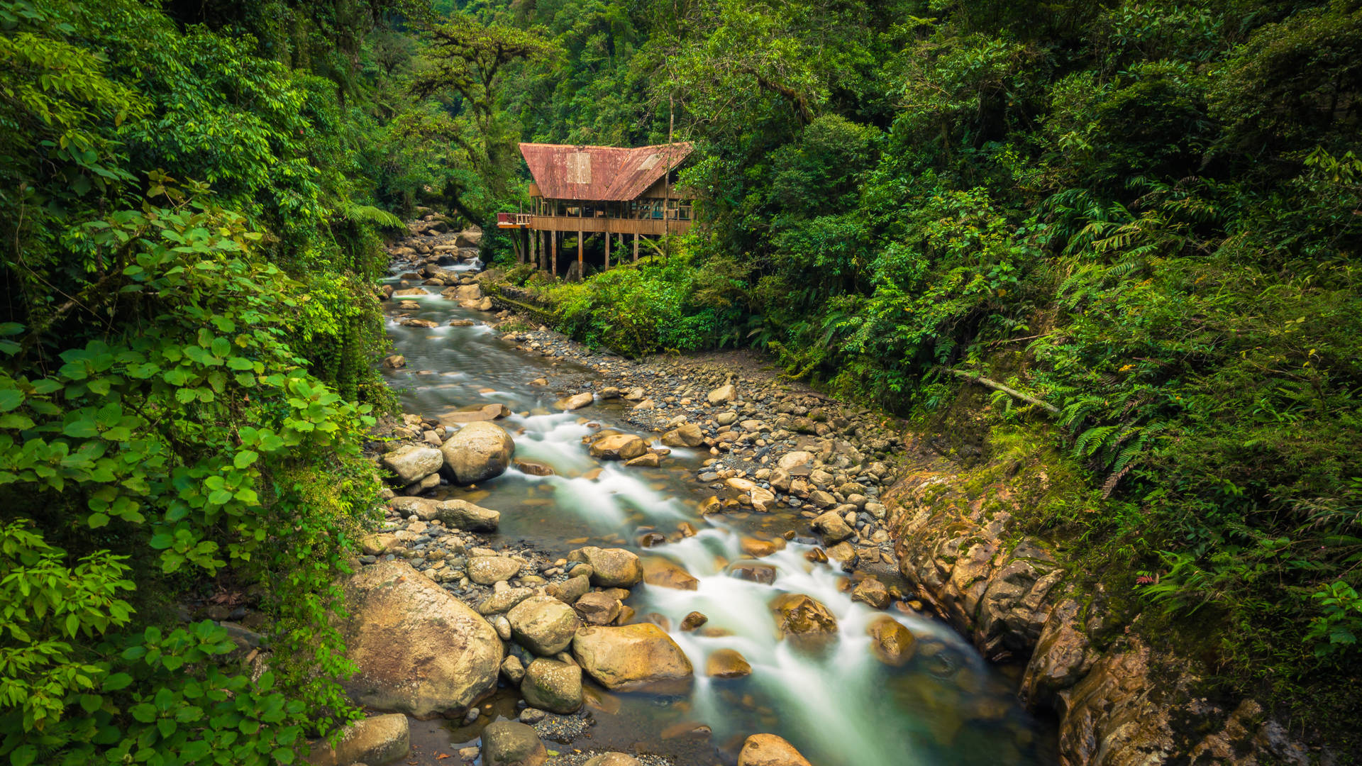 Manu National Park, Peru travel, Inca civilization, Authentic experiences, 1920x1080 Full HD Desktop