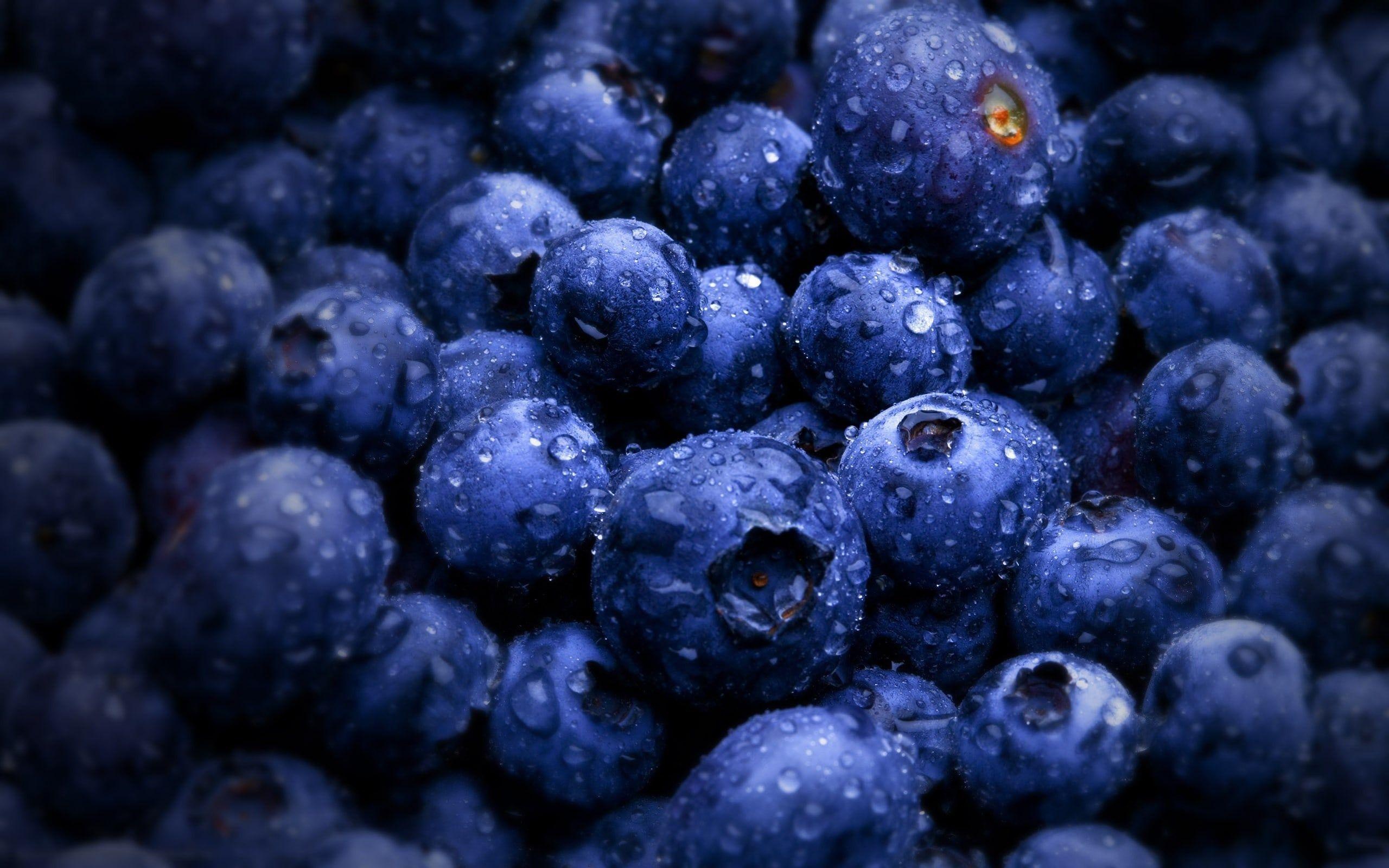 4K HD blueberry backgrounds, Rich colors, Vibrant imagery, Wallpaper perfection, 2560x1600 HD Desktop