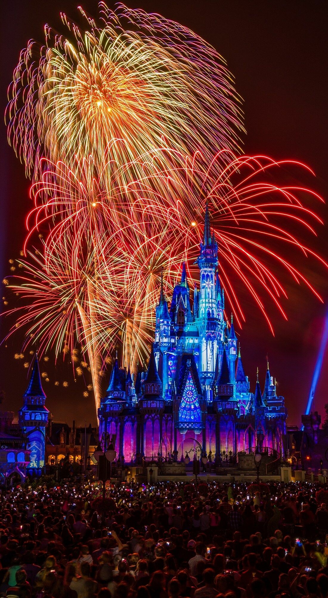 Disney castle fireworks wallpapers, Magical atmosphere, Captivating visuals, Festive celebration, 1100x2000 HD Phone