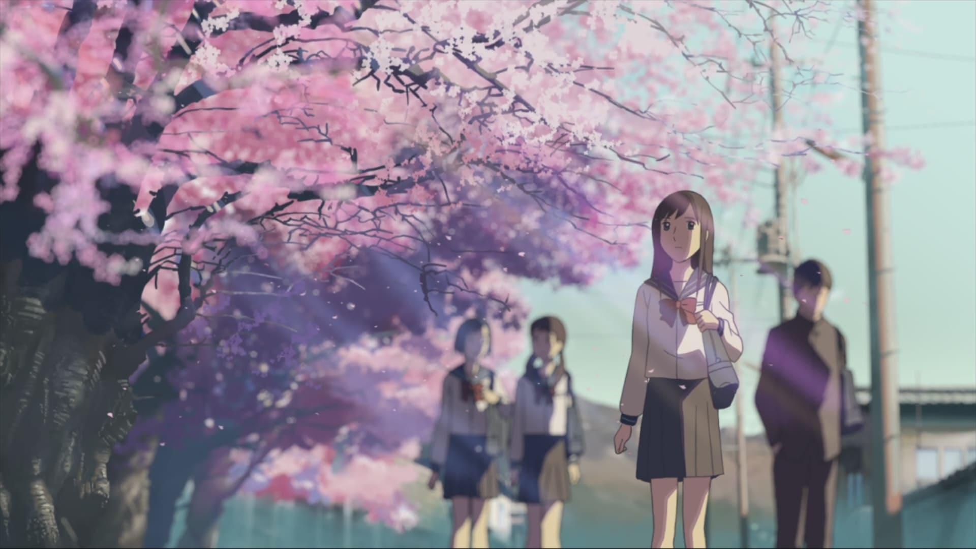 Akari Shinohara, Takaki Tono, Blooming cherry blossom tree, Full HD Desktop wallpaper
