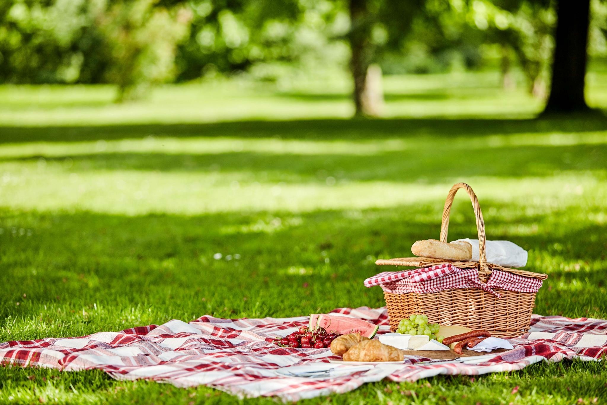 Berlin picnic tips, Berlin tagesspiegel, 2050x1370 HD Desktop