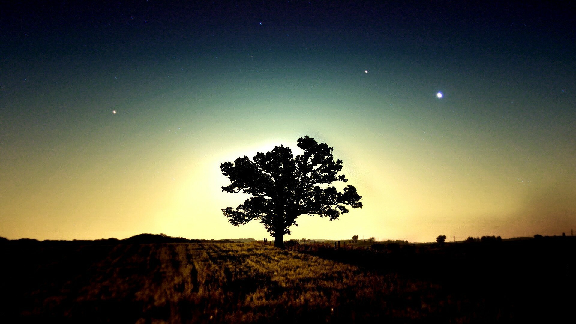 HD tree wallpapers, Natural wonders, Breathtaking landscapes, Nature's marvels, 1920x1080 Full HD Desktop