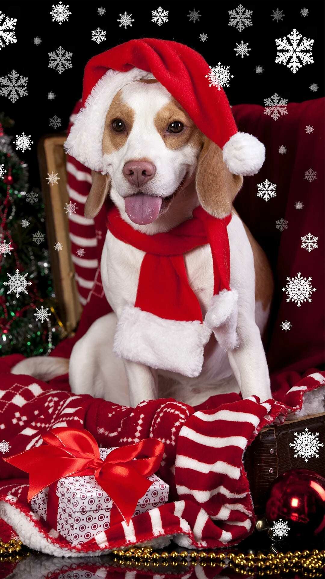 Christmas dog, Festive wallpaper, Holiday spirit, 1080x1920 Full HD Phone