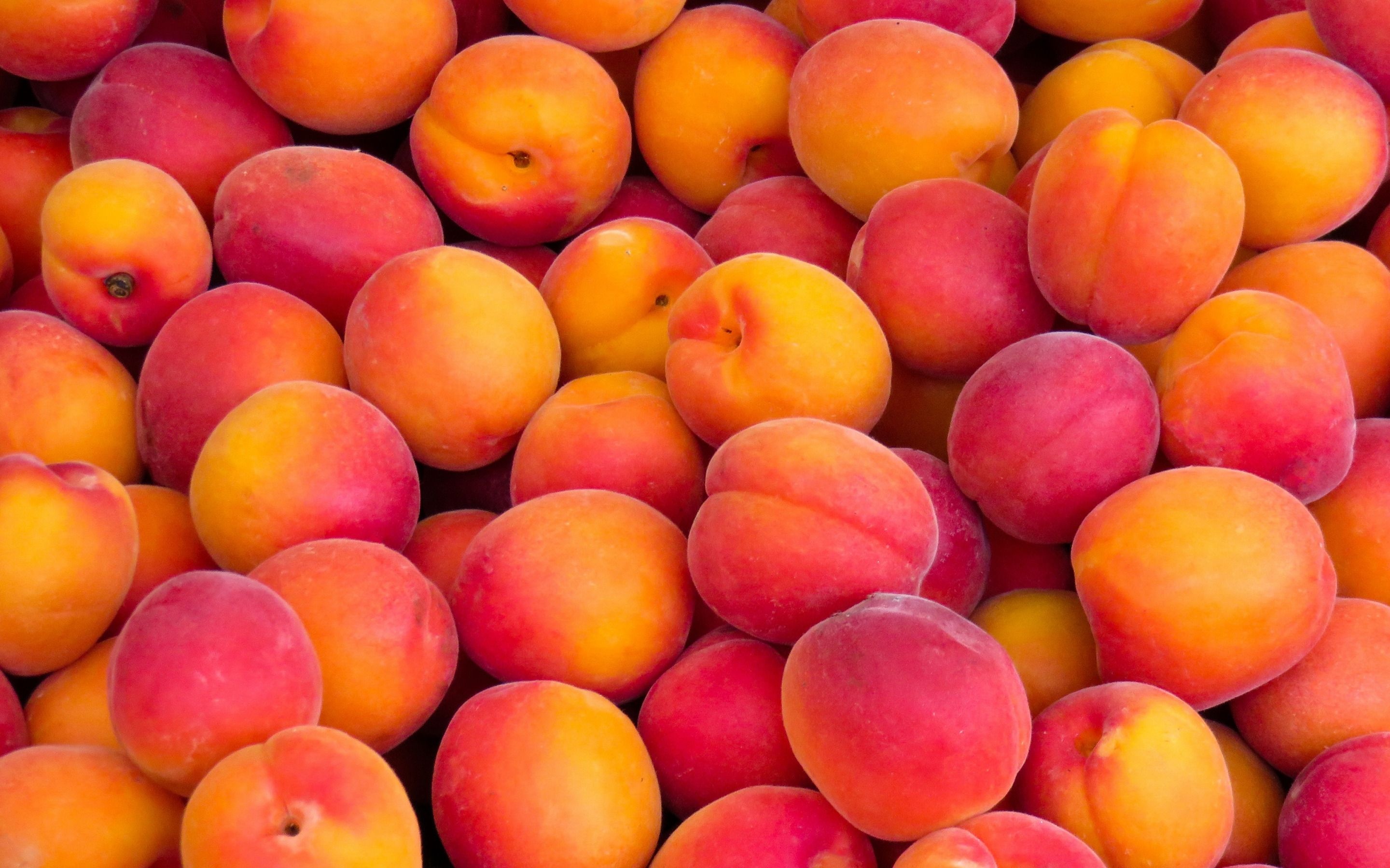 Peaches wallpapers, Striking backgrounds, HD quality, Refreshing fruit, 2880x1800 HD Desktop