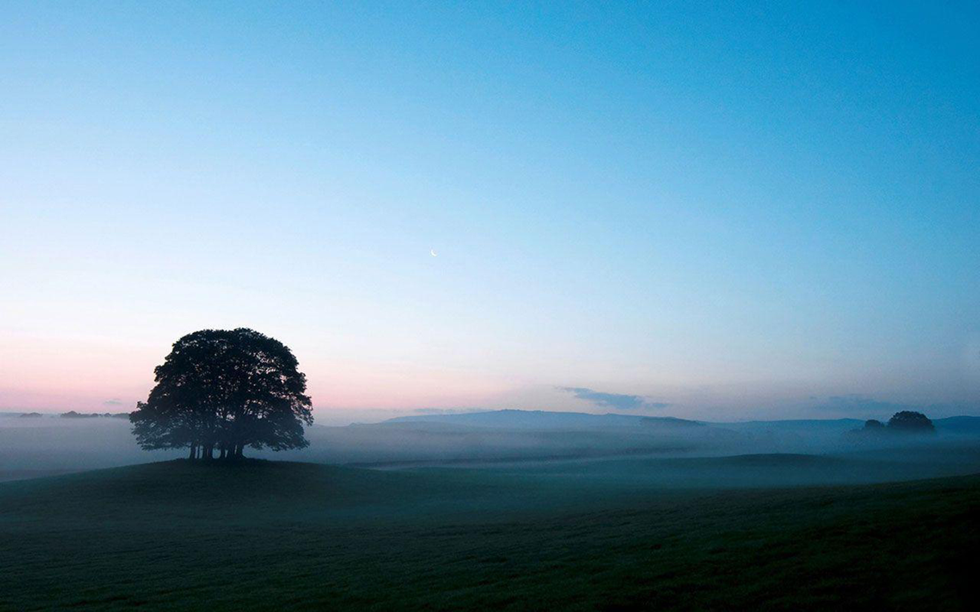 silhouetted tree grove, misty rolling hills, dawn twilight sky, HD Desktop wallpaper