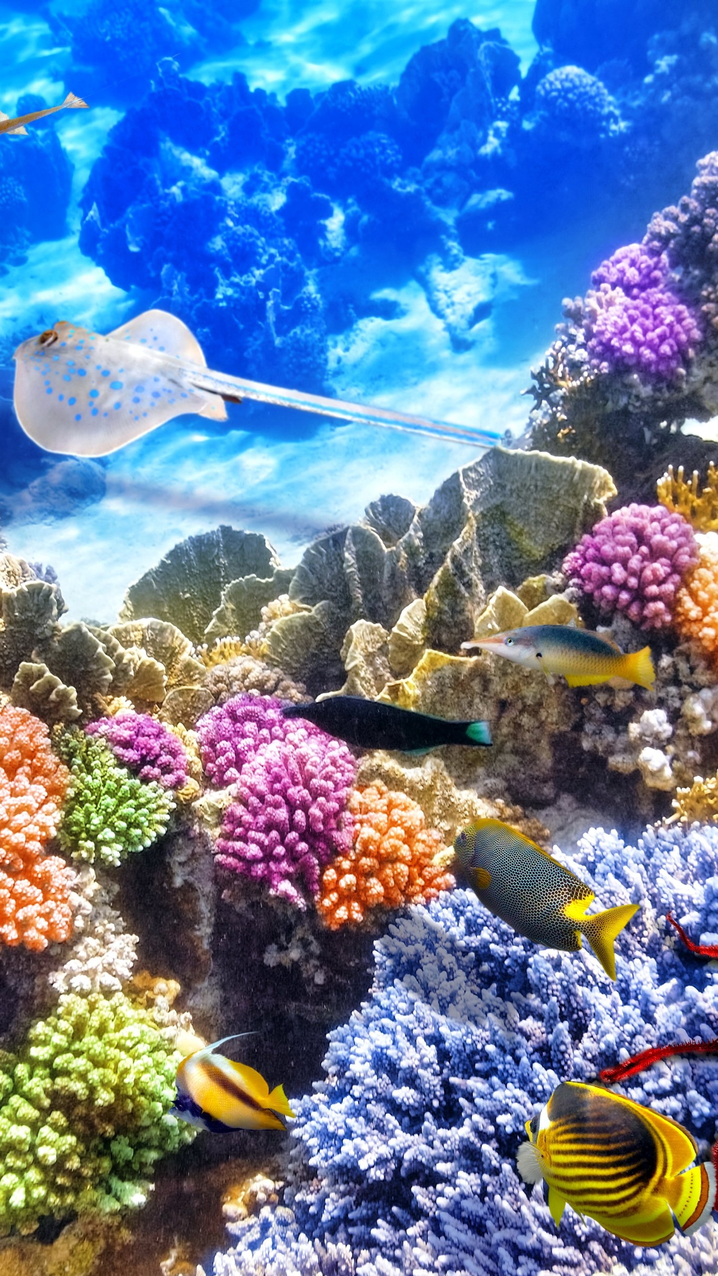 Sea sponge species, Unique underwater creatures, Vibrant marine ecosystem, Invertebrate marine animals, 1440x2560 HD Phone