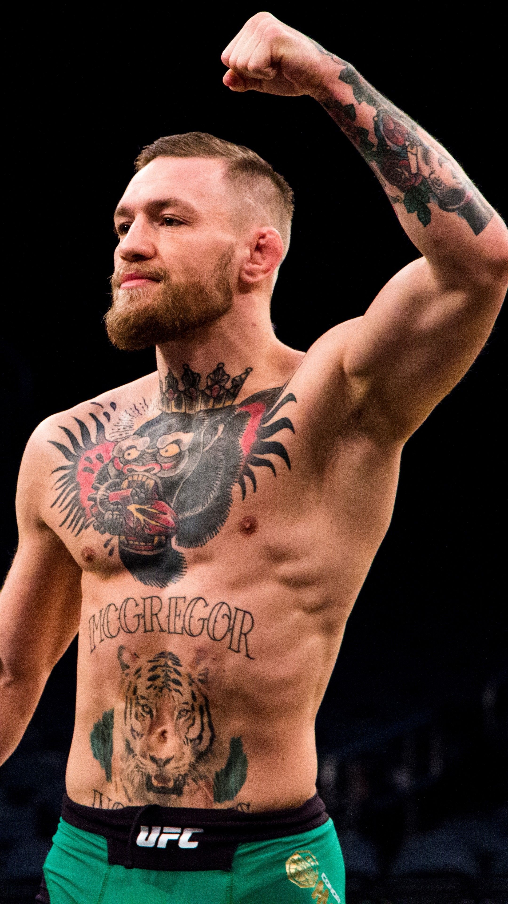 Conor McGregor, Mixed Martial Arts Wallpaper, 2160x3840 4K Phone