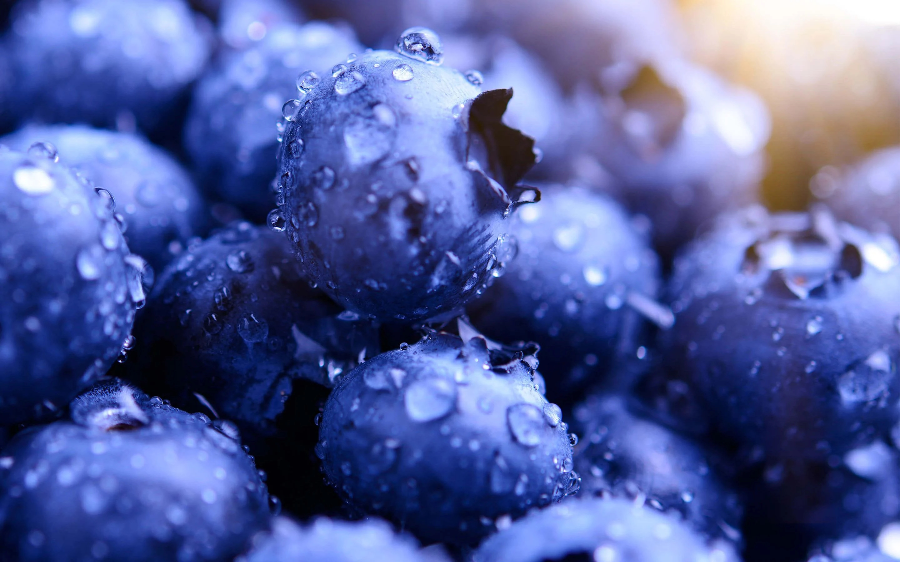 Food, Blueberry desktop backgrounds, Desktop wallpapers, 2880x1800 HD Desktop