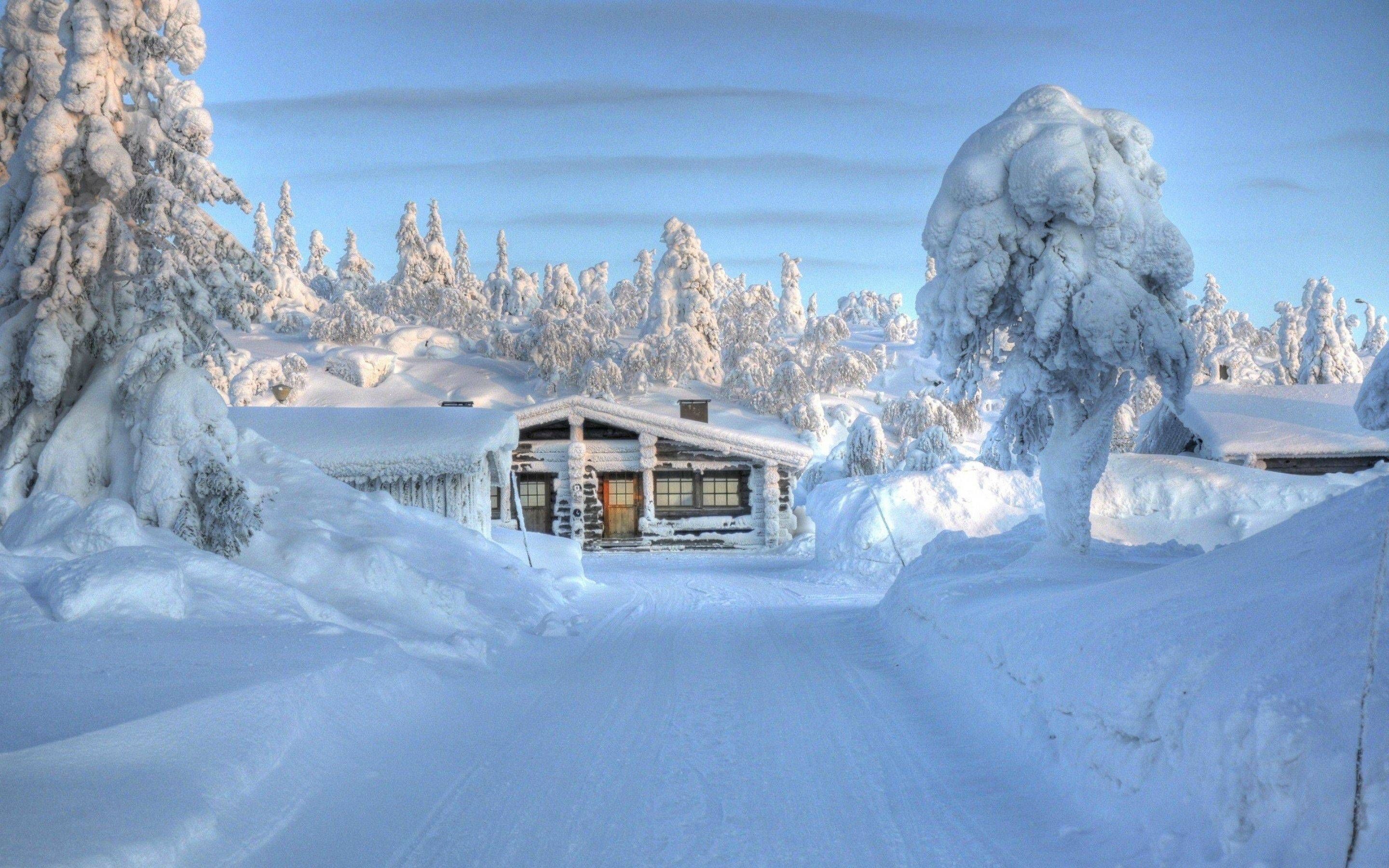 Winter magic, Snowy vistas, Frosty scenes, Tranquil nature, 2880x1800 HD Desktop