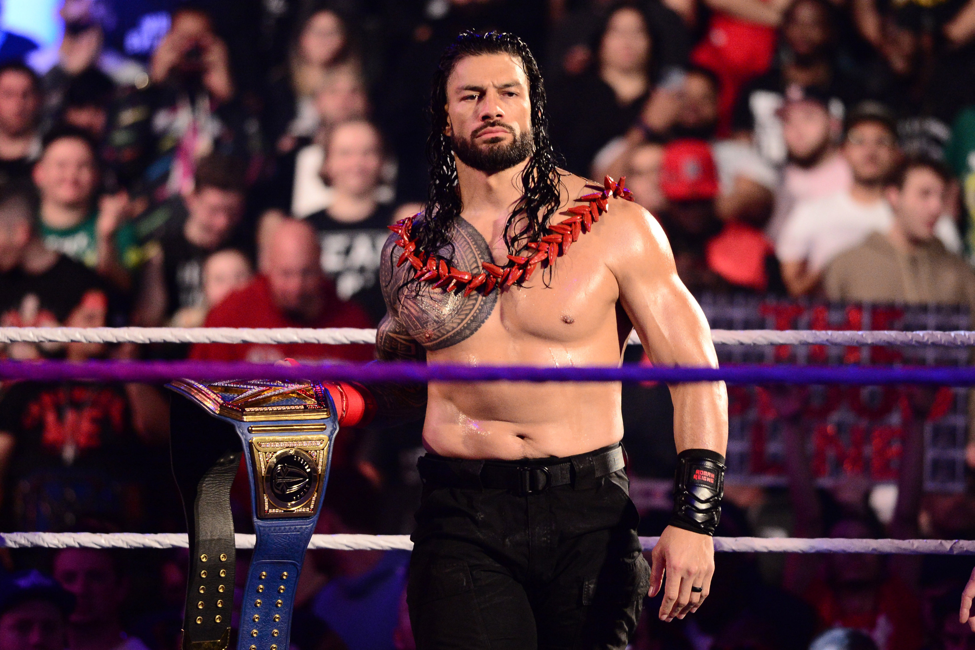 Roman Reigns, WWE Universal Championship, Samoan Ula Fala, HD Desktop wallpaper