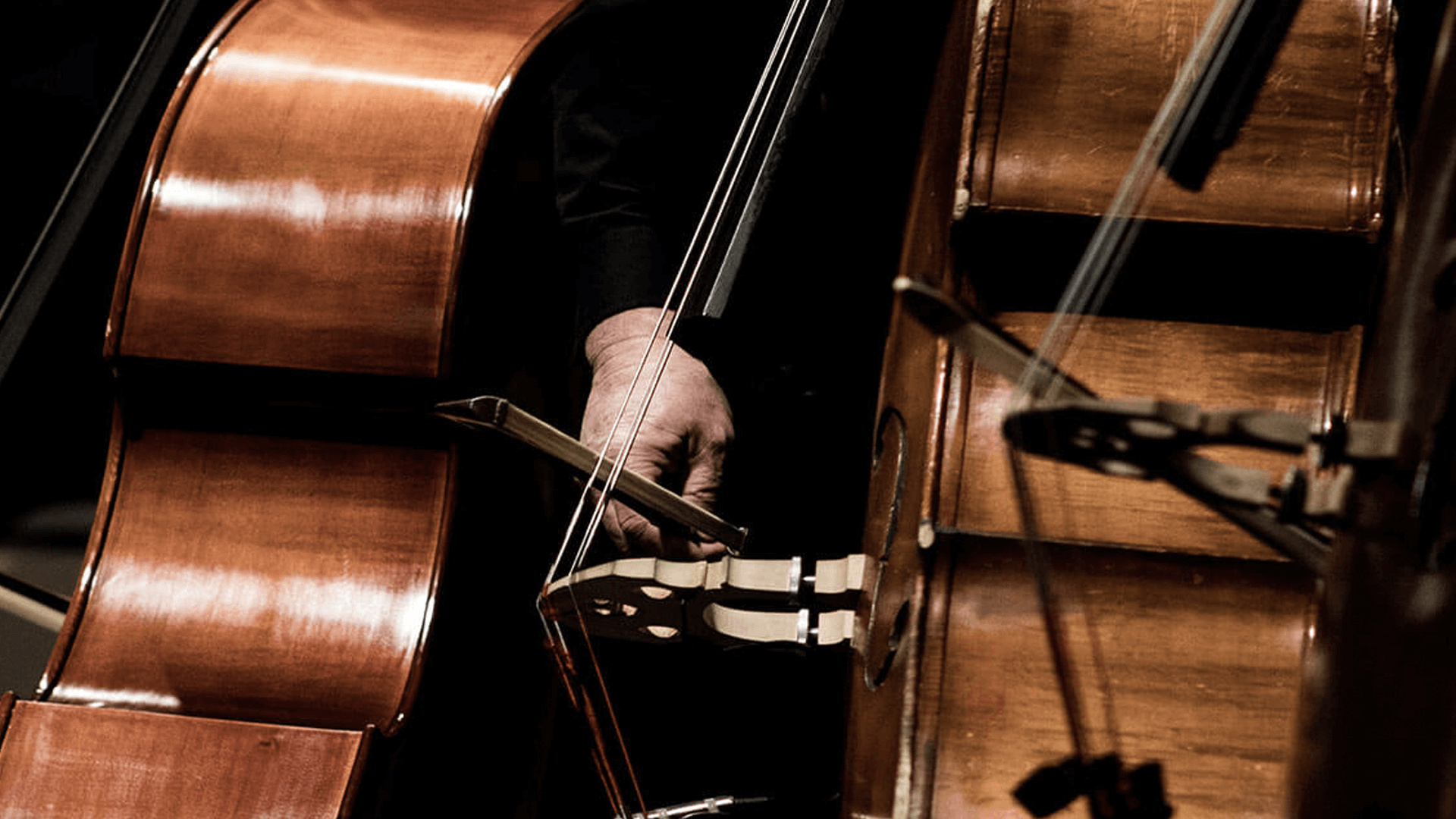 String bass, UCLA Herb Alpert School of Music, Educational institution, Bassist's haven, 1920x1080 Full HD Desktop