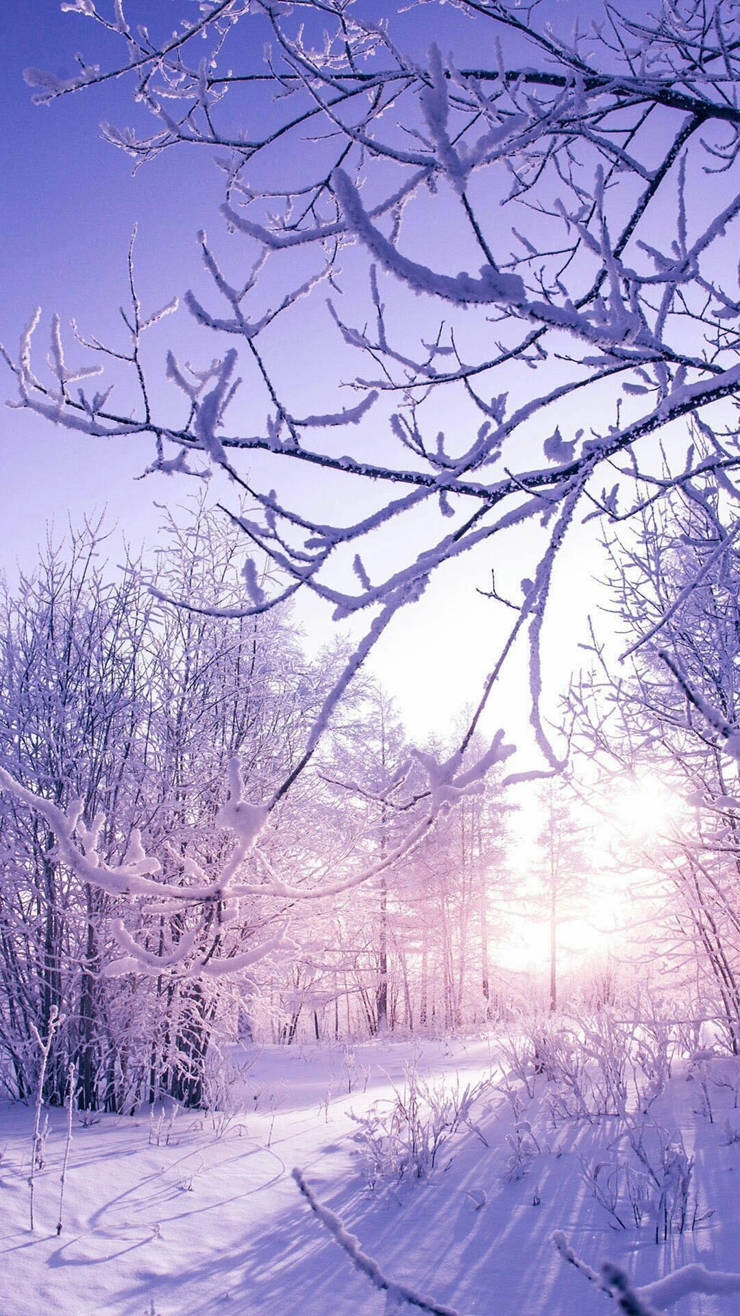 Huawei winter wallpapers, Winter, 1080x1920 Full HD Phone