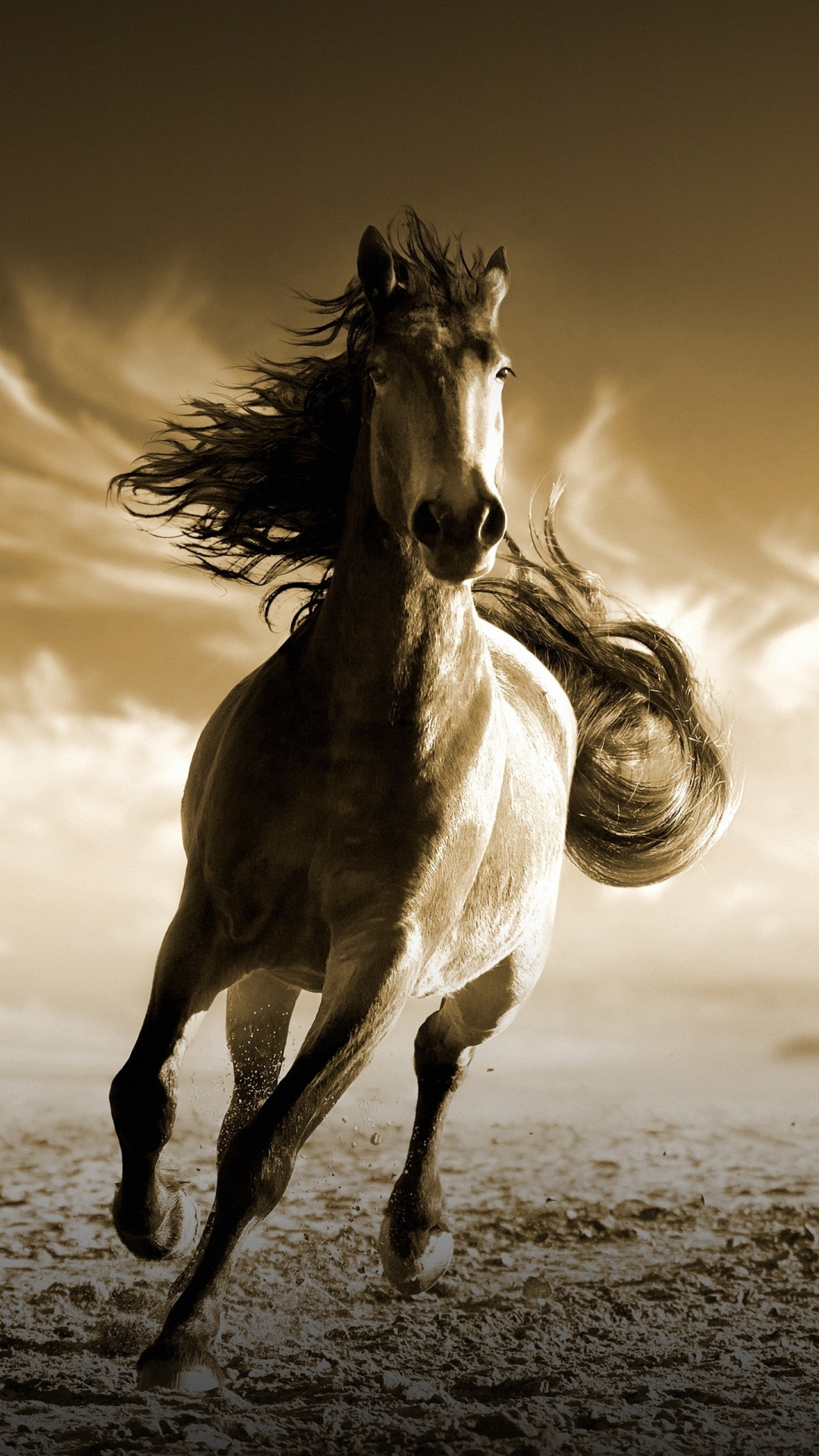 Running horse, Animal wallpaper, Samsung galaxy, Sony Xperia, 1080x1920 Full HD Phone