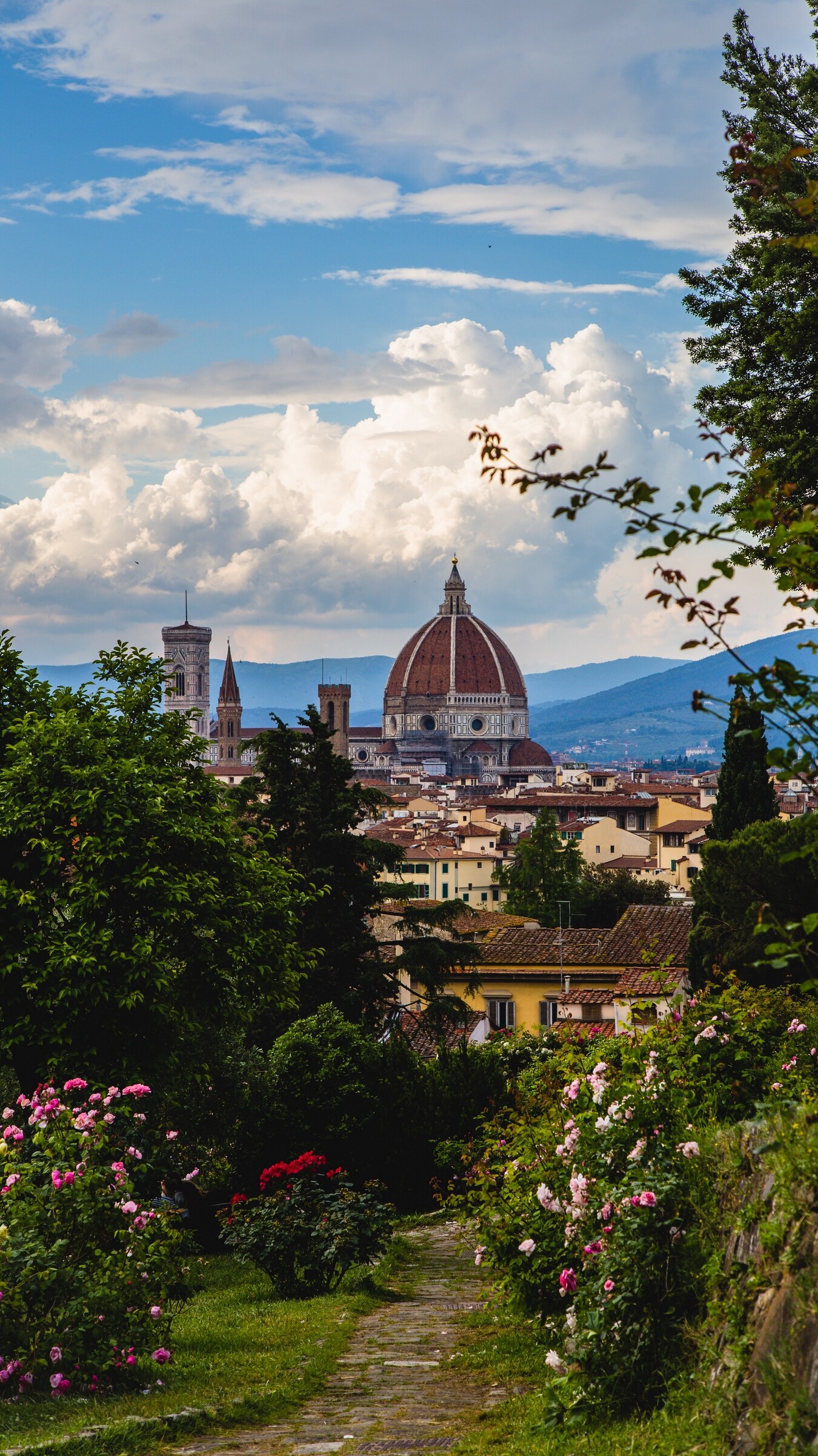 Italy's architecture, Ancient structures, Ornate facades, Artistic mastery, 1350x2400 HD Phone