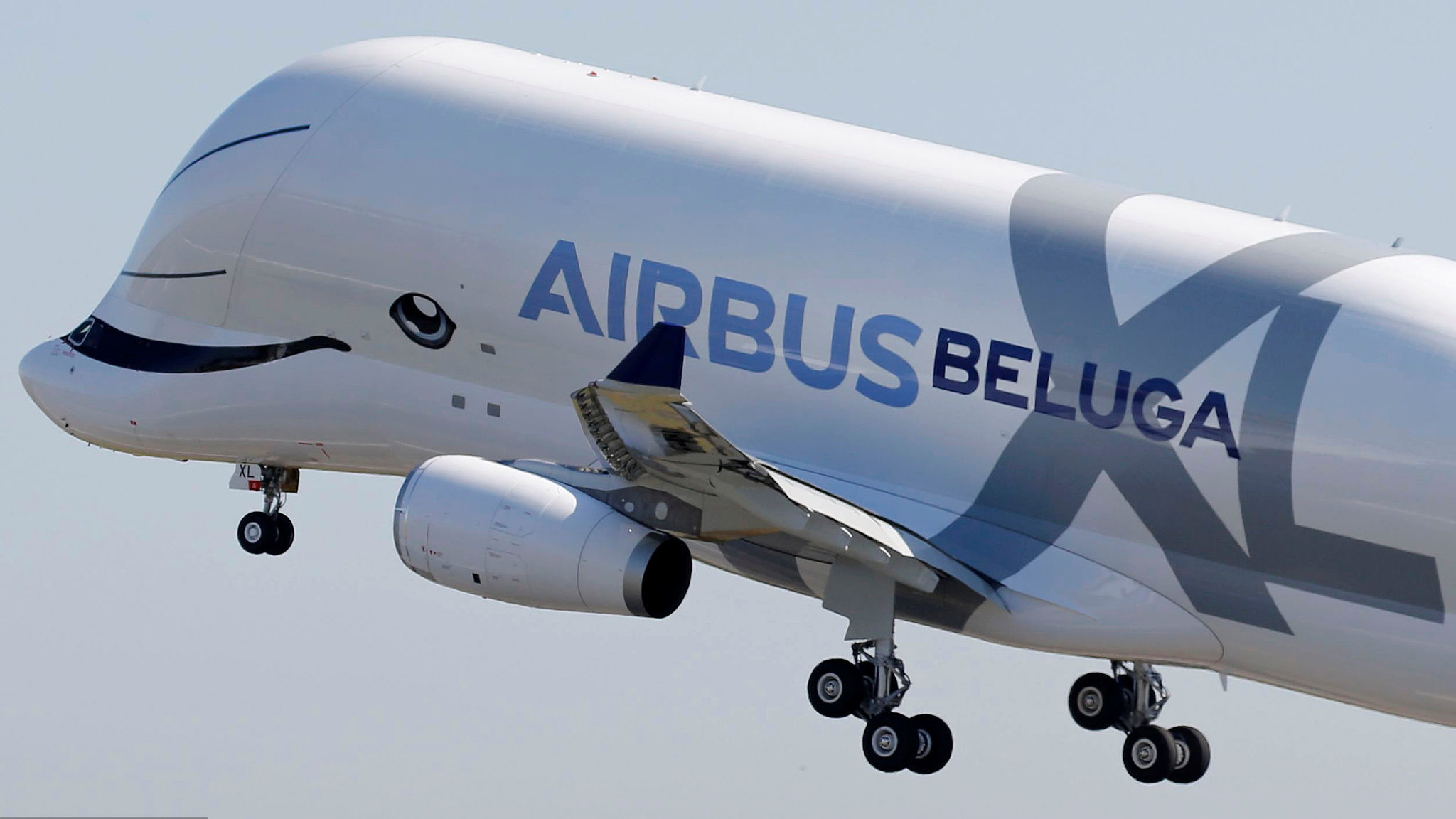 Airbus Beluga, Marine mammal, 2050x1160 HD Desktop