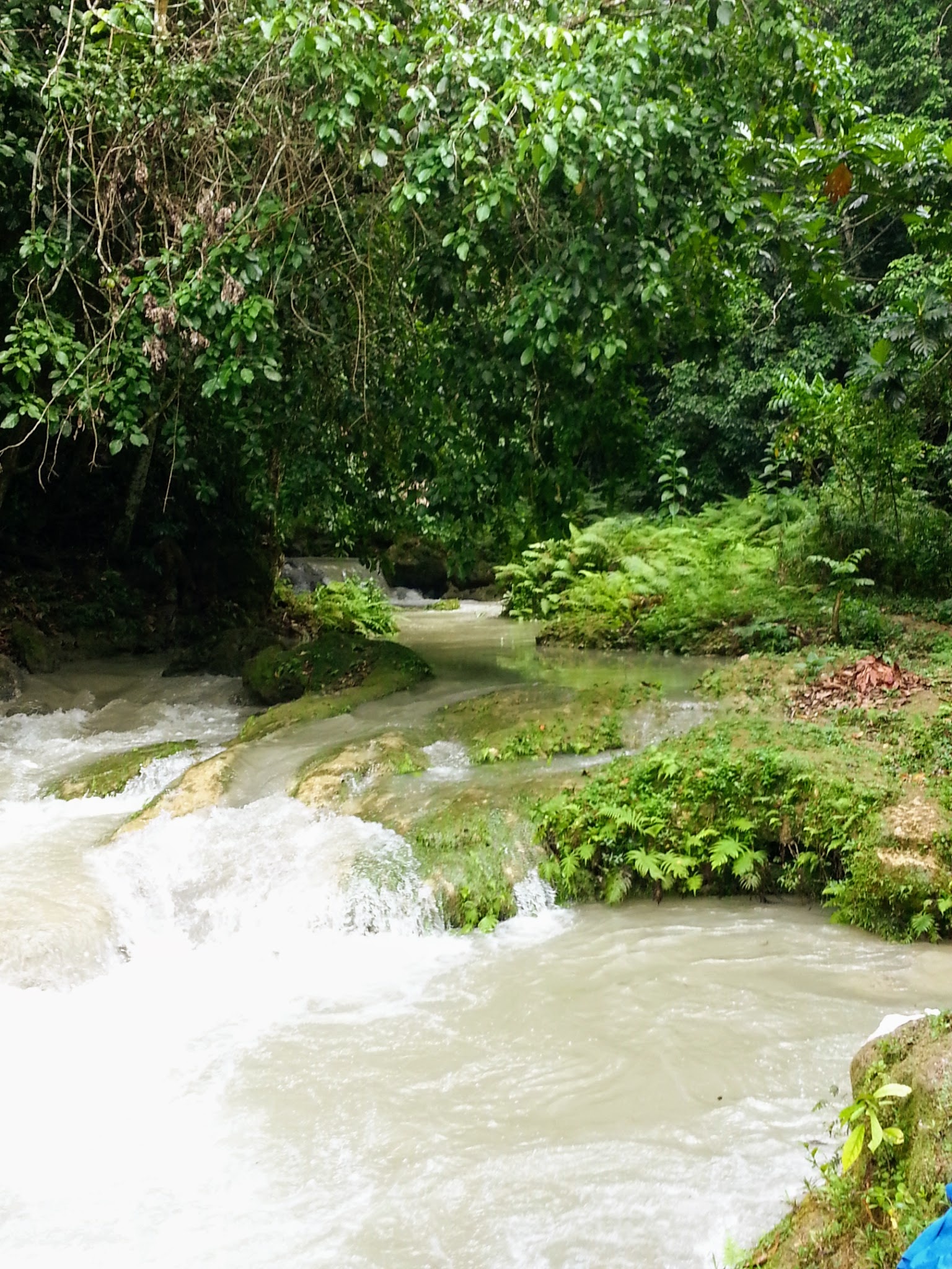 Laughing Waters, Jamaica, Travels, Crystal clear pools, 1540x2050 HD Phone