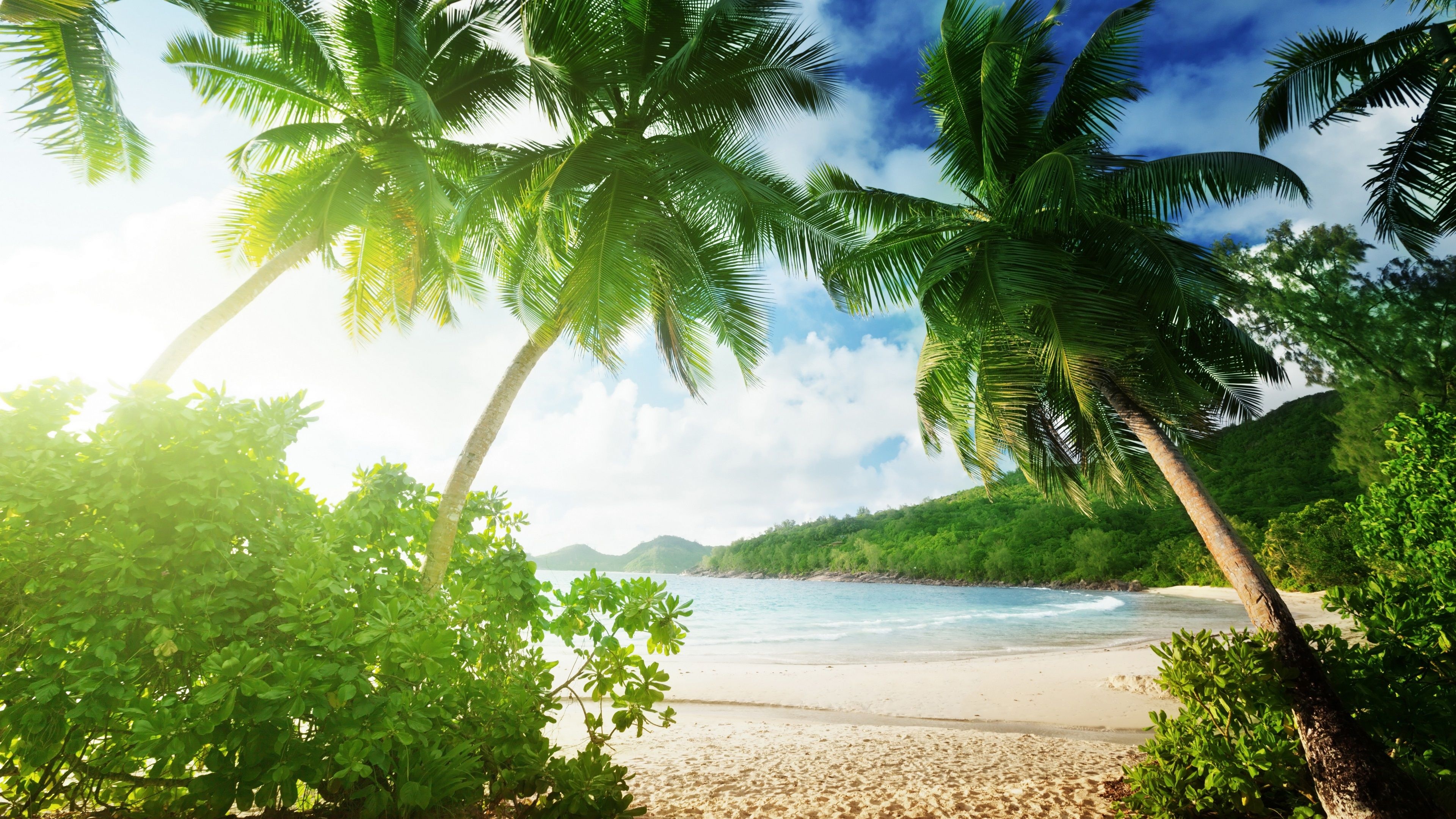 Anse Lazio beach, leaning coconut palm trees, turquoise tropical ocean bay, 4K Desktop wallpaper
