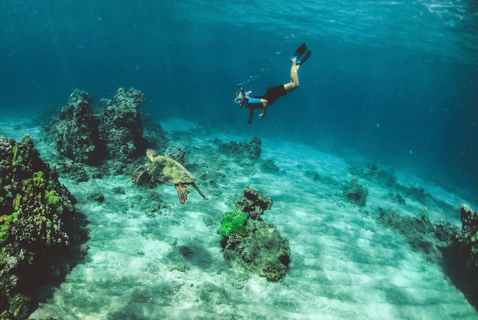 Snorkeling, Best Spots, Costa Rica, Travel Dudes, 1920x1290 HD Desktop