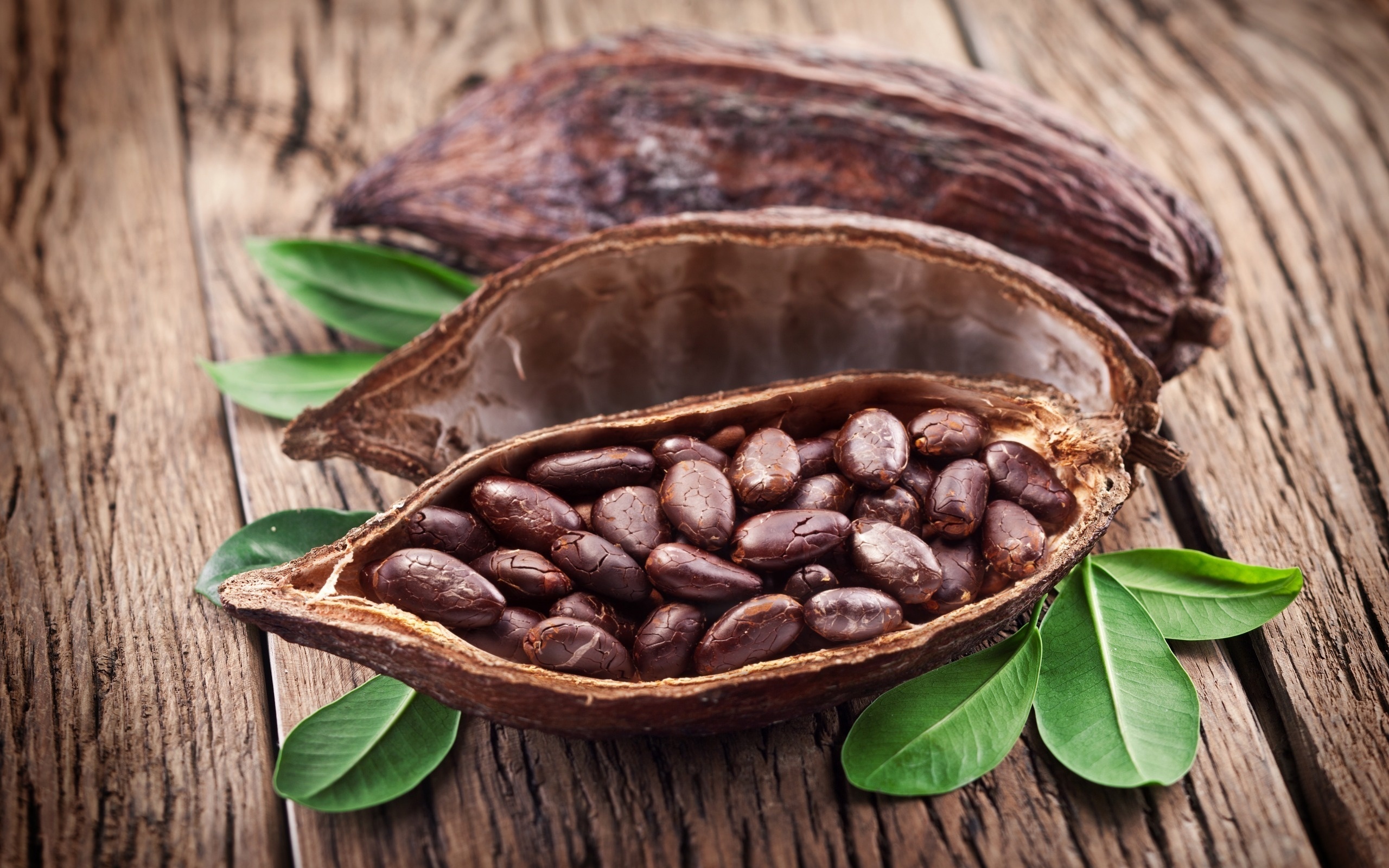 Cocoa beans wallpaper, Other wallpaper, Better, 2560x1600 HD Desktop