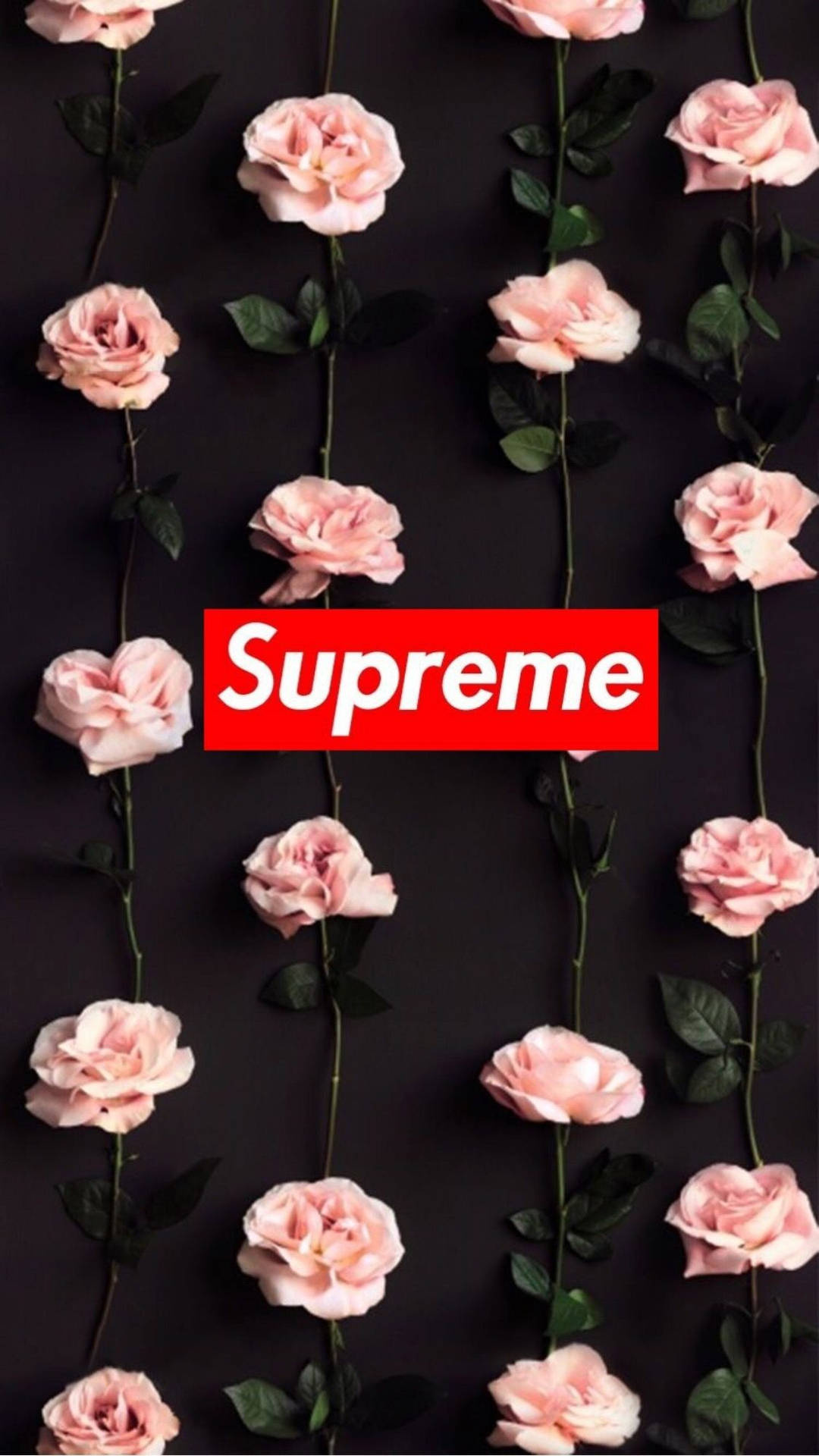 Supreme, Cute iPhone Backgrounds Wallpaper, 1080x1920 Full HD Phone