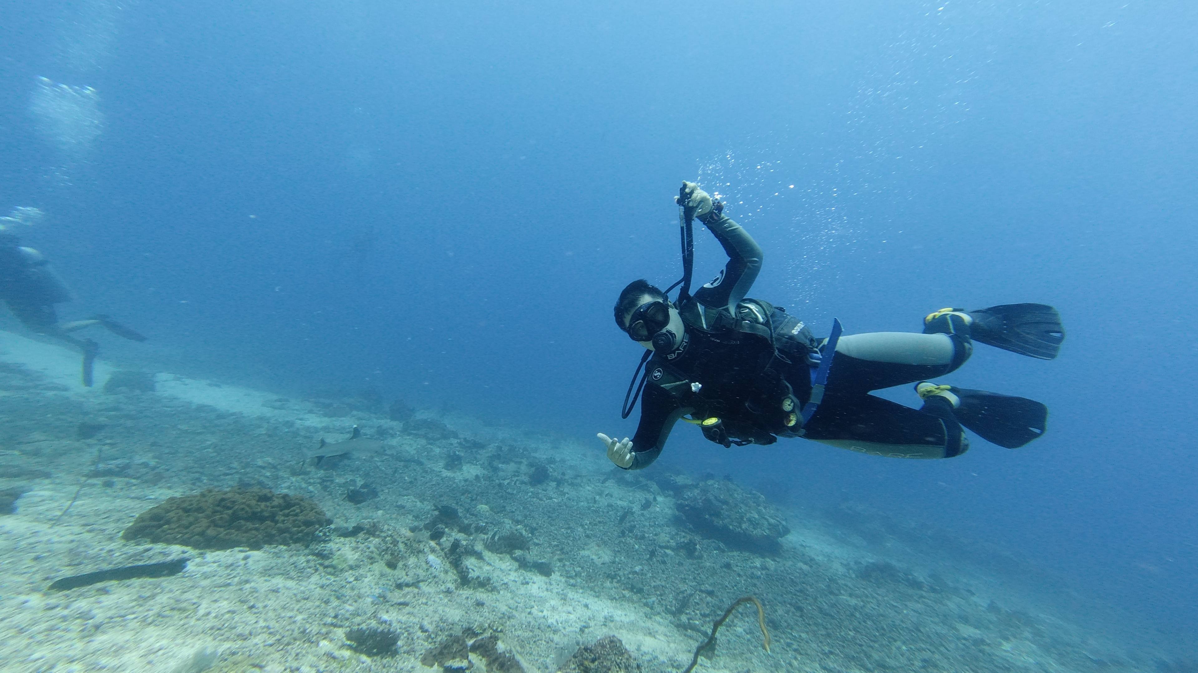 Scuba diving at Barracuda Point, Sipadan Island, Sabah, Malaysia, Deepblu experience, 3840x2160 4K Desktop