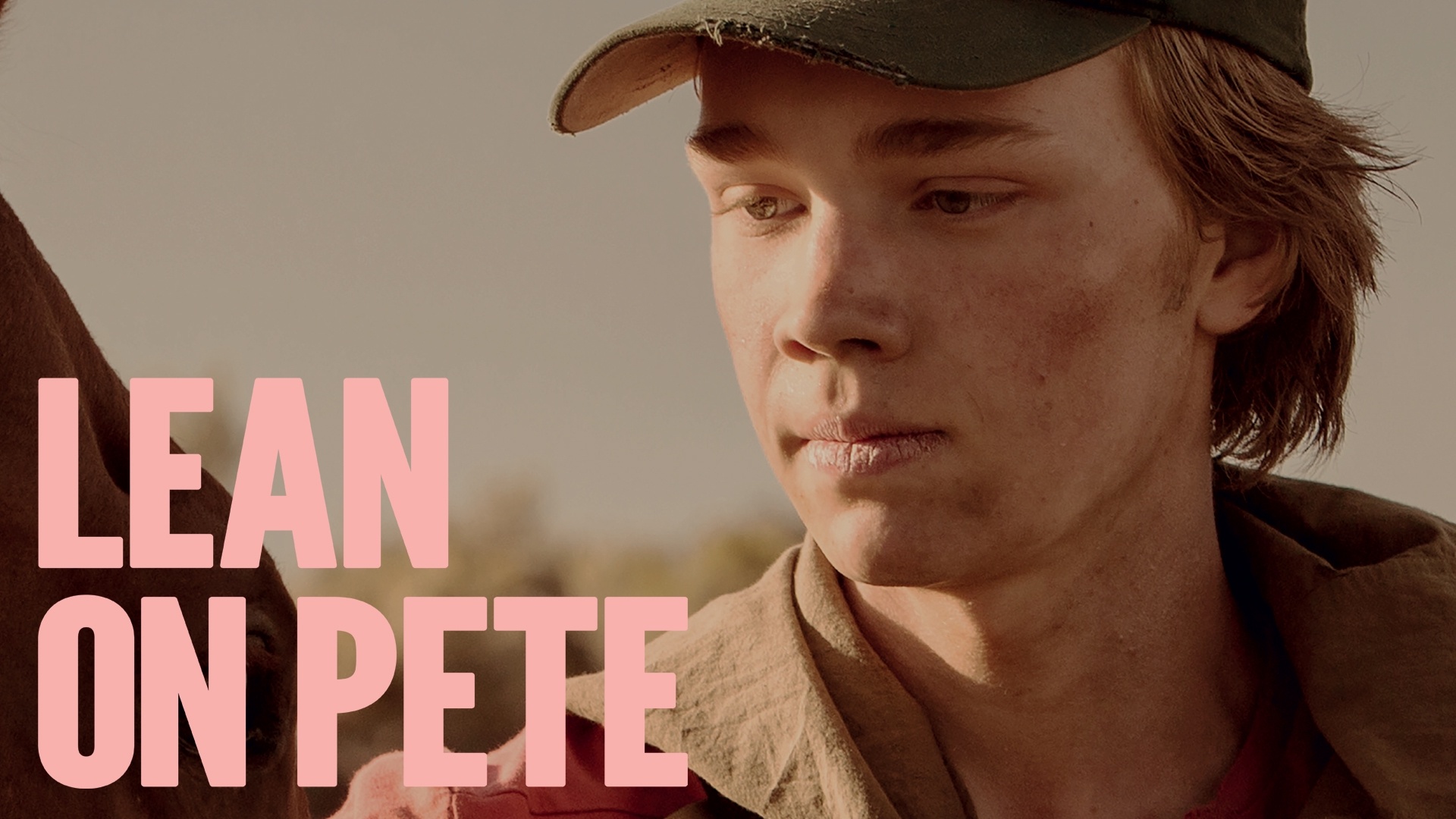 Lean on Pete movie, Online streaming, HD movies, Stan platform, 1920x1080 Full HD Desktop