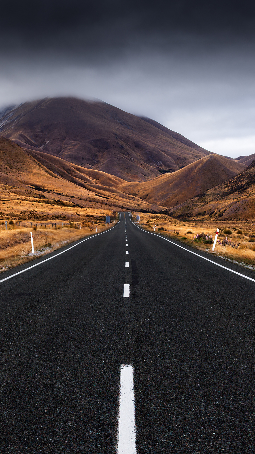 Lindis Pass New Zealand, straight asphalt highway, golden tussock hills, Full HD Phone wallpaper