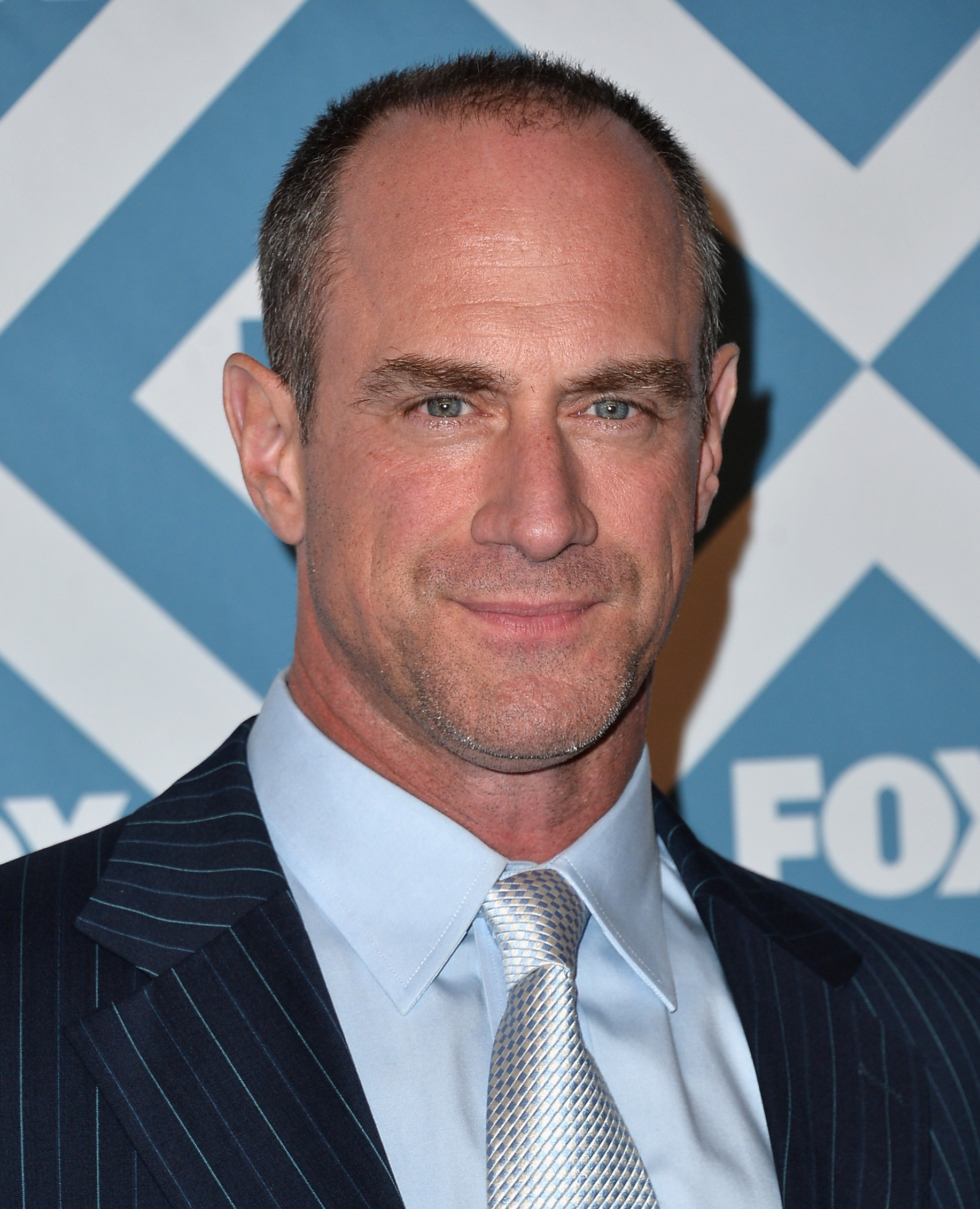 Christopher Meloni, Movies, Dark Horse, 1840x2270 HD Phone