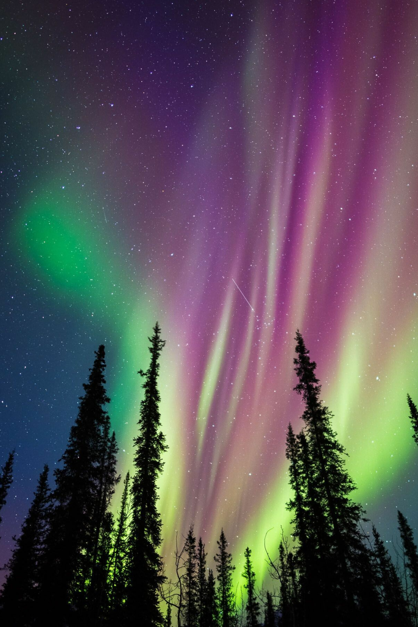 Aurora Borealis, Alaskan wonders, Captivating wallpapers, Nature's marvels, 1340x2000 HD Phone