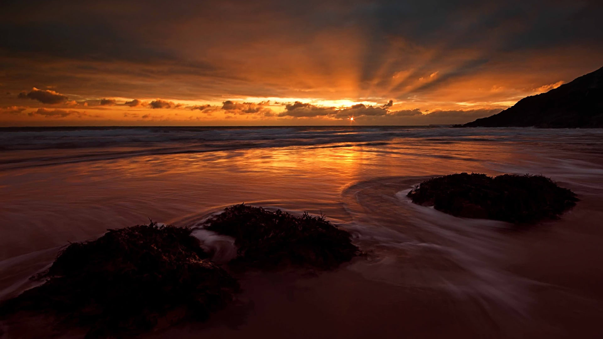 Sunset crepuscular rays, Seaweed covered beach rocks, Reflective wet sandy shore, Full HD Desktop wallpaper