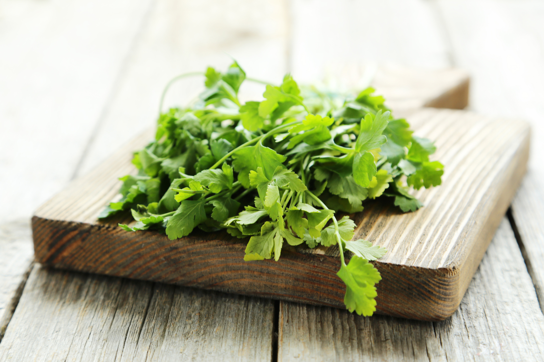 Parsley herb, Health benefits, Nutritional value, Moderation is key, 2130x1420 HD Desktop