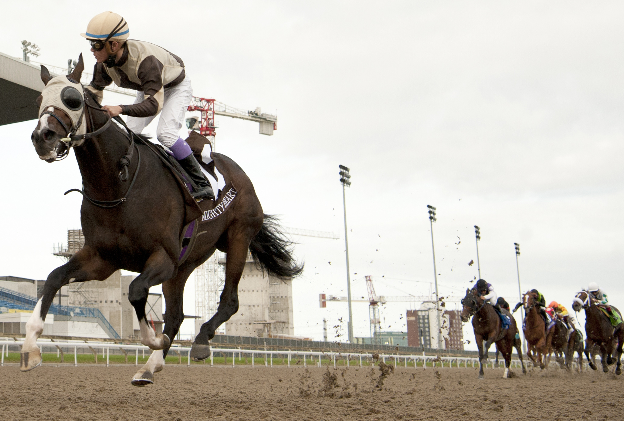 Woodbine Racetrack, Horse Racing Wallpaper, 2060x1390 HD Desktop