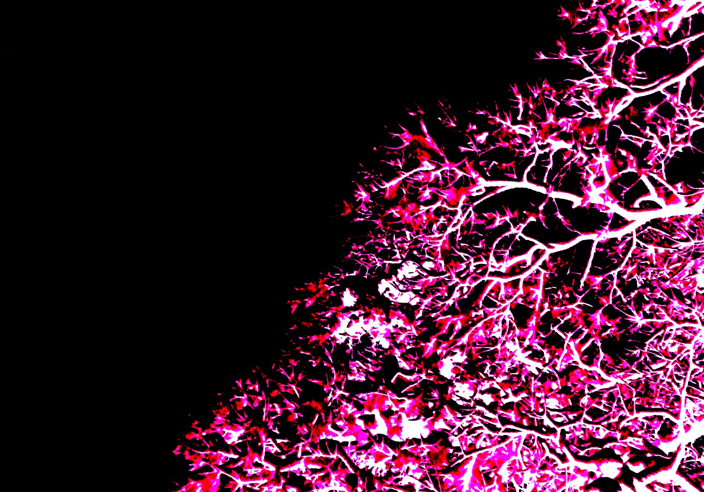 Glow in the dark, Neon wallpaper, Pink glow, Abstract art, 2300x1610 HD Desktop