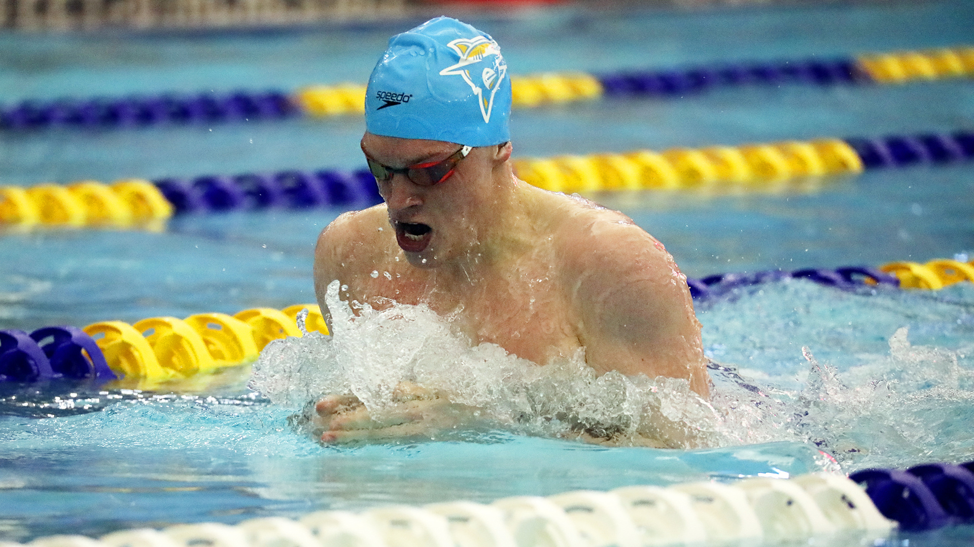 Stephen Taylor, Long Island University, Swimming & diving, Breaststroke, 1920x1080 Full HD Desktop