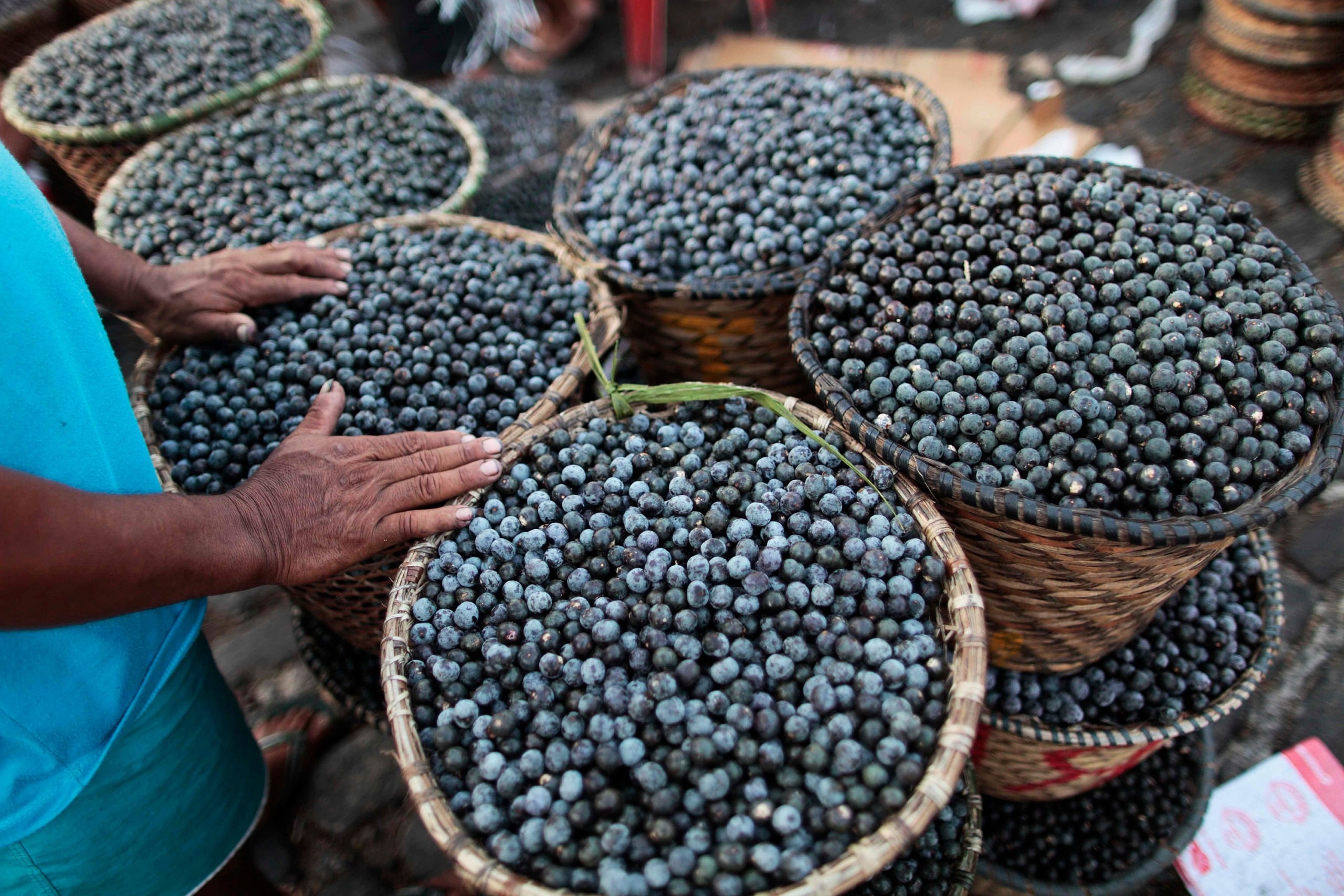 Acai FAQs, Common questions, Acai life, Superfood knowledge, 2560x1710 HD Desktop