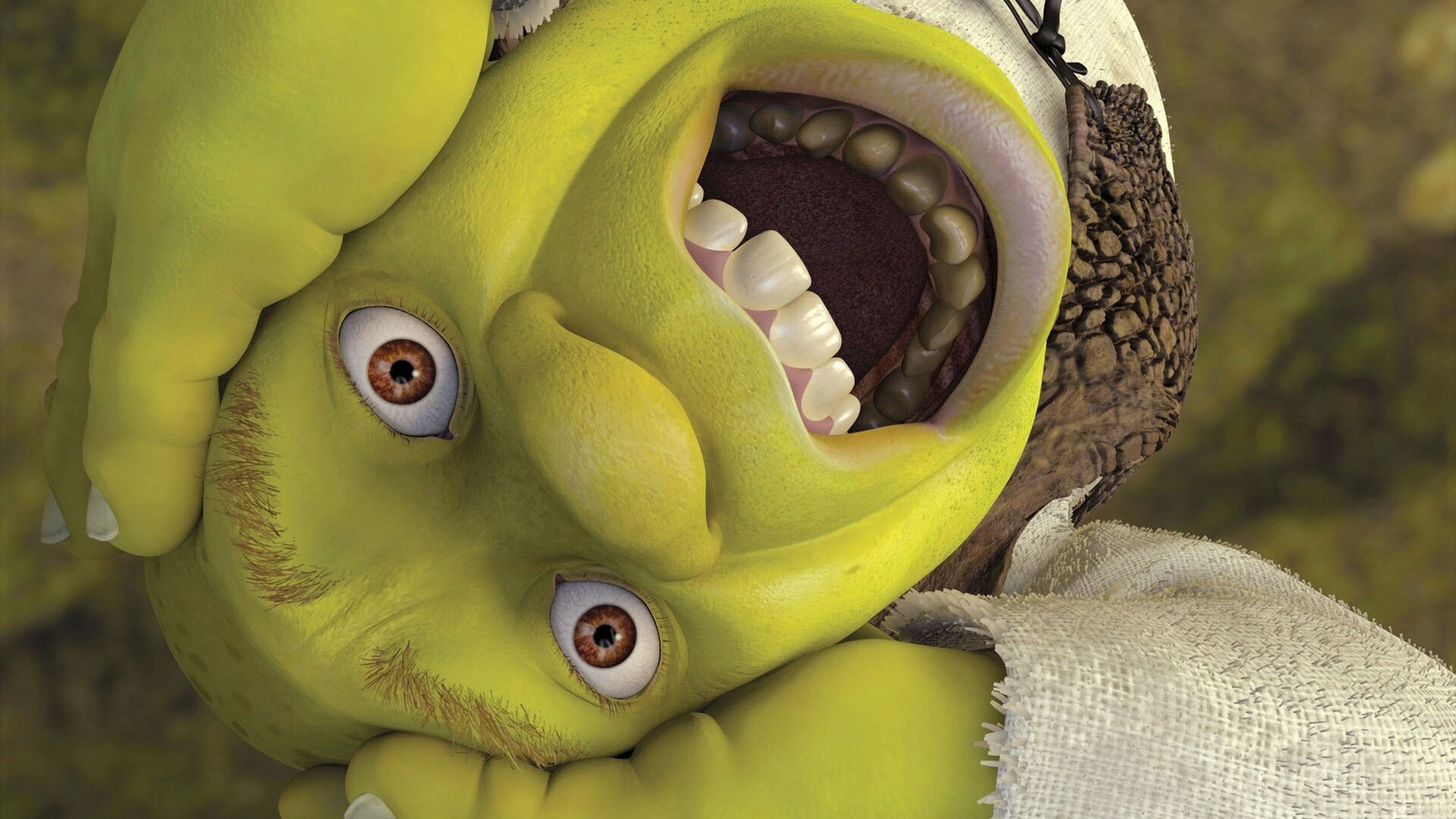 Shrek, Green ogre, Fairytale creature, Reekin havoc, 1920x1080 Full HD Desktop