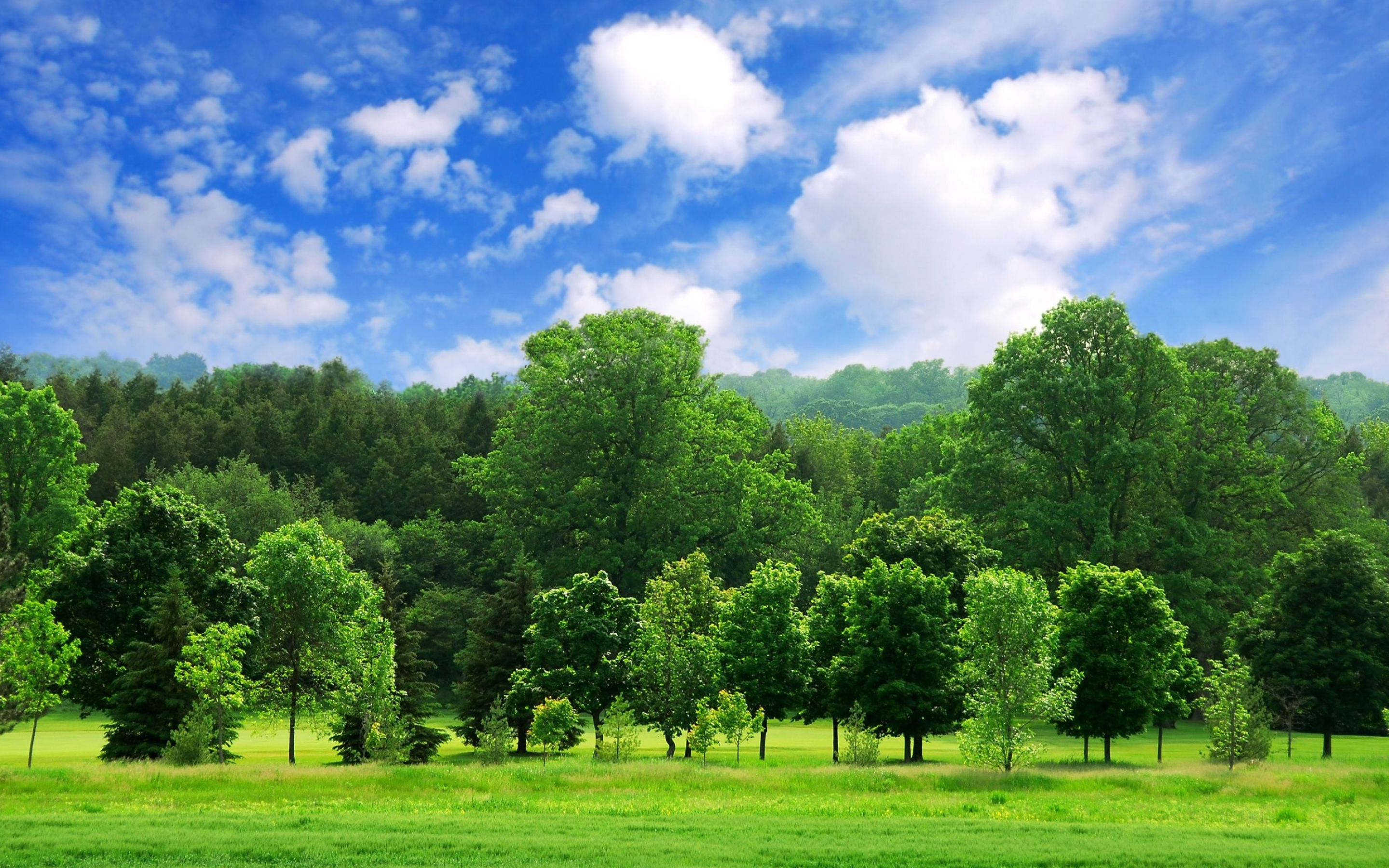lush green tree line, vibrant grassy field, bright blue cumulus sky, HD Desktop wallpaper