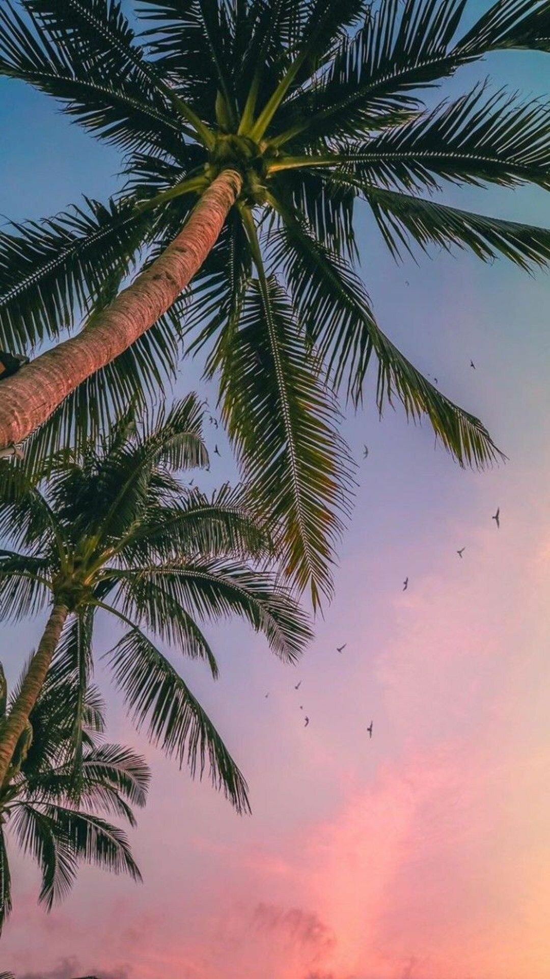 Palm tree paradise, Summer vibes, Beach escape, iPhone wallpapers, 1080x1920 Full HD Phone