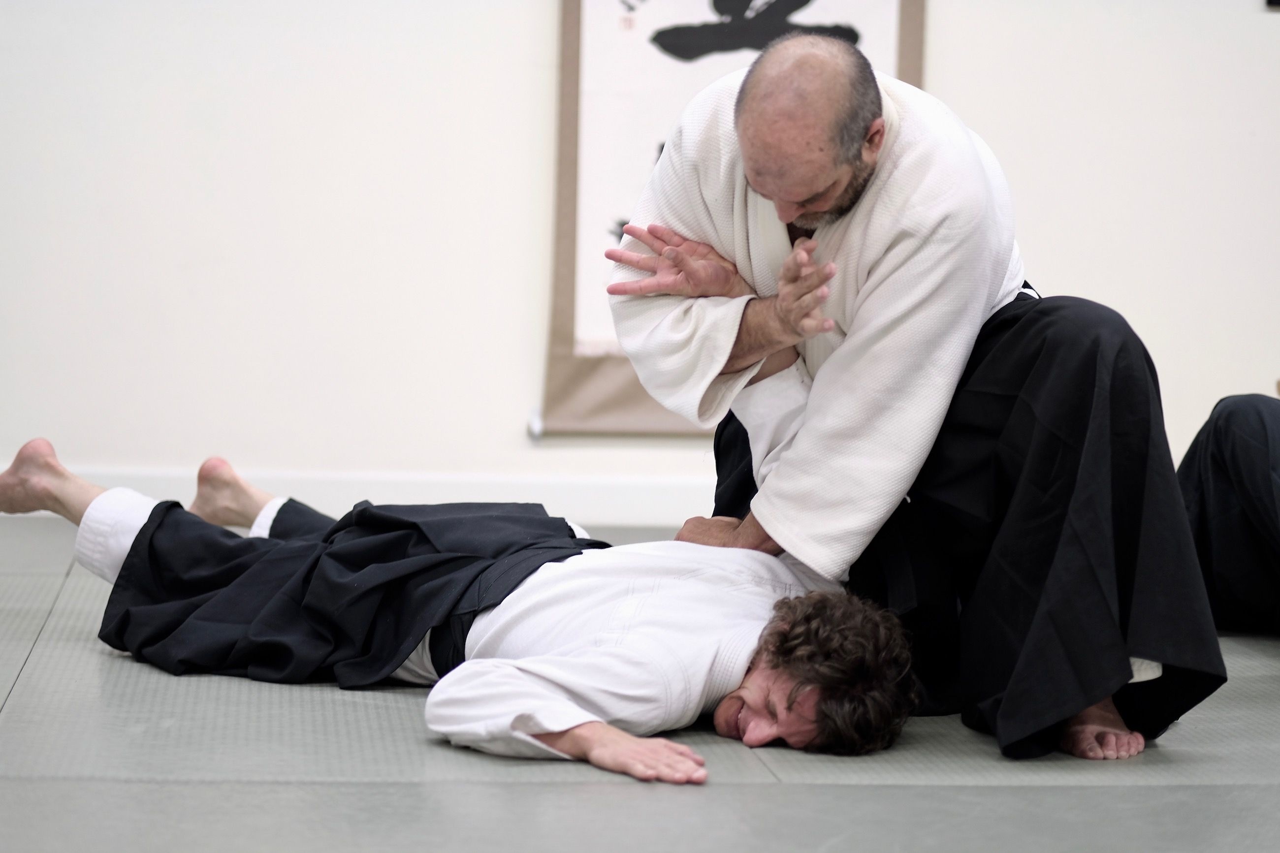 Aikido influence, Bruce Bookman leadership, Aikido Journal Academy, Seminar success, 2600x1740 HD Desktop