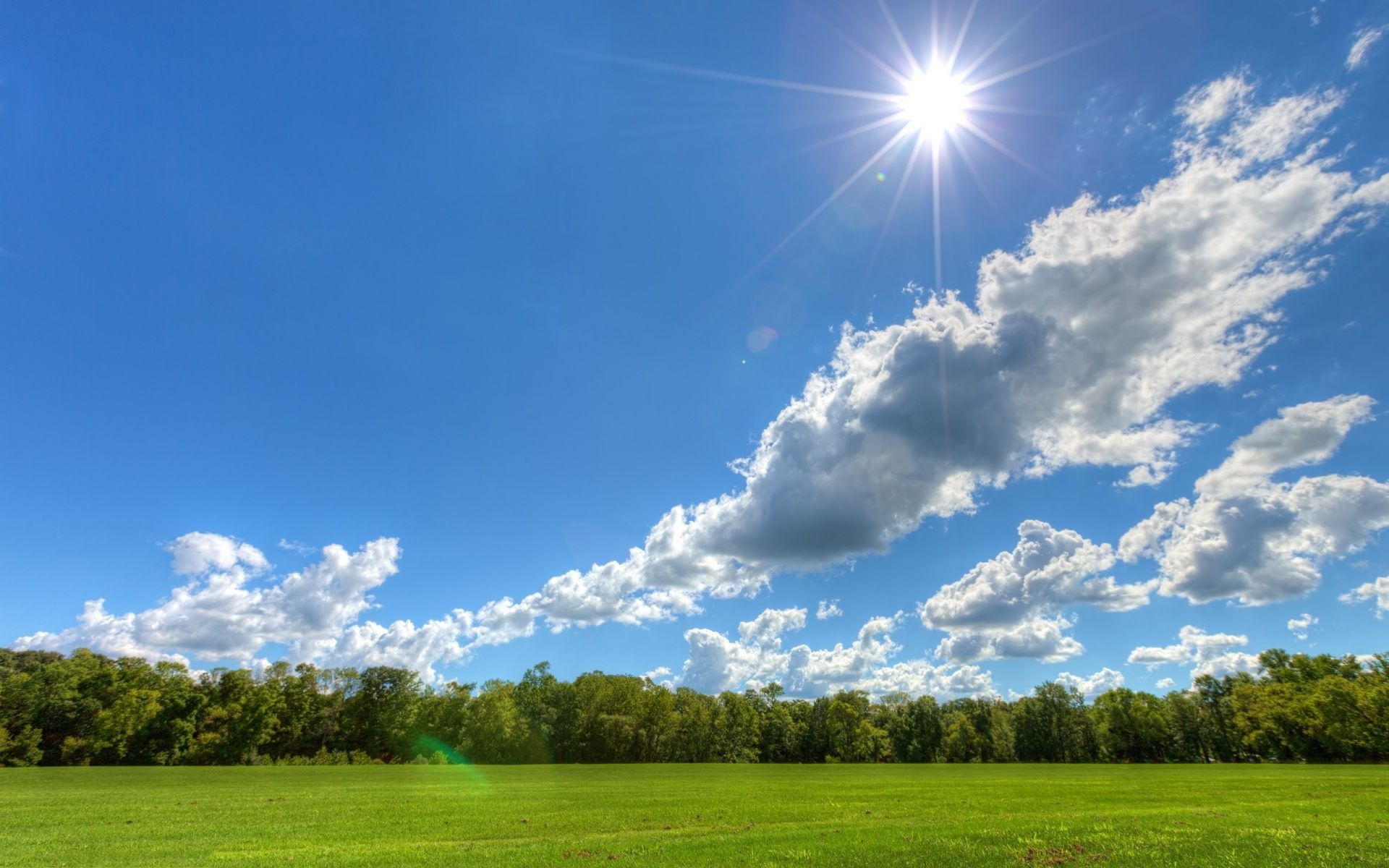 Bright radiant sunburst, Fluffy white cumulus clouds, Lush green meadow, HD Desktop wallpaper