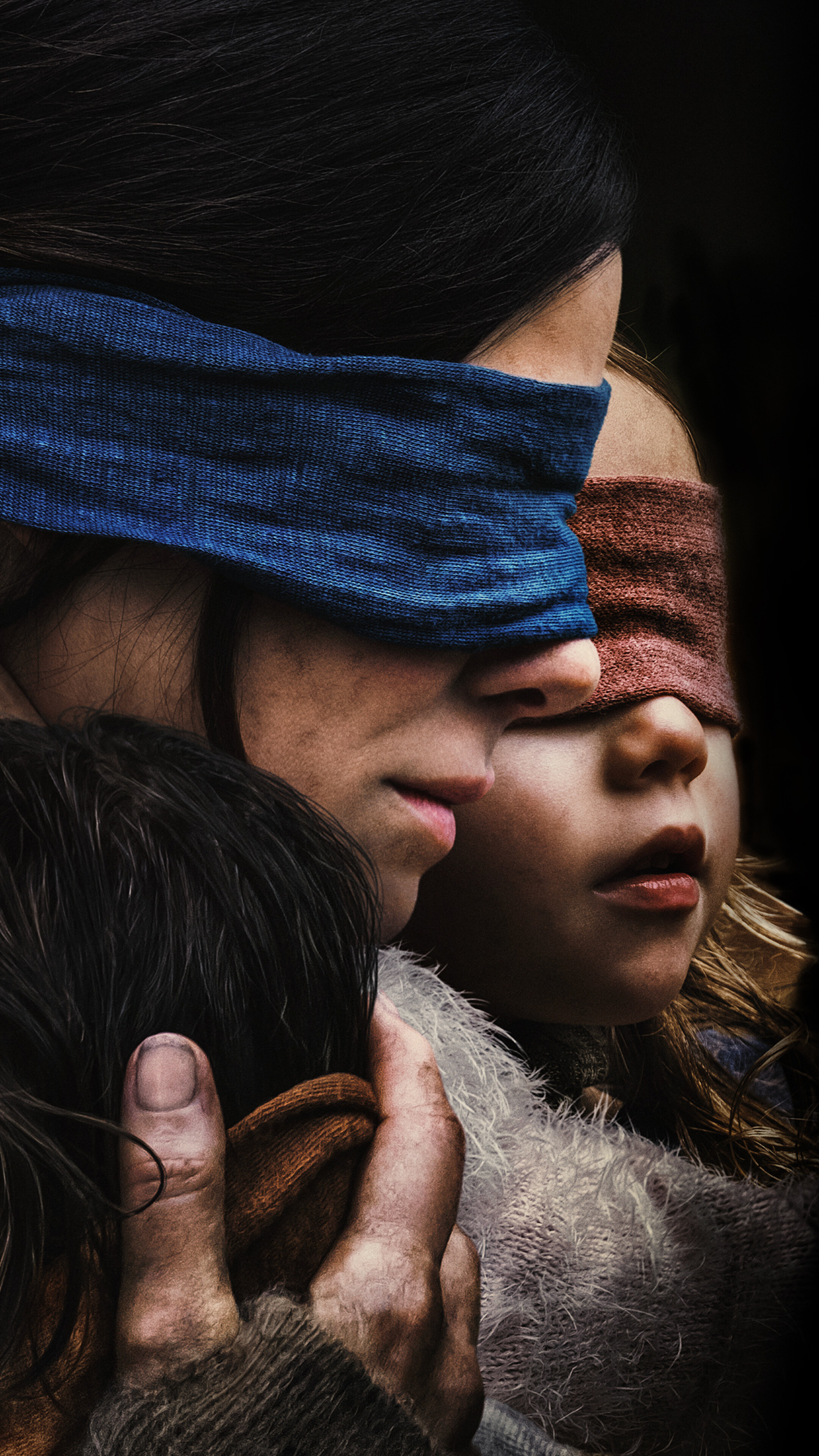 Bird Box, Sony Xperia wallpapers, HD 4K images, Visual aesthetic, 2160x3840 4K Phone
