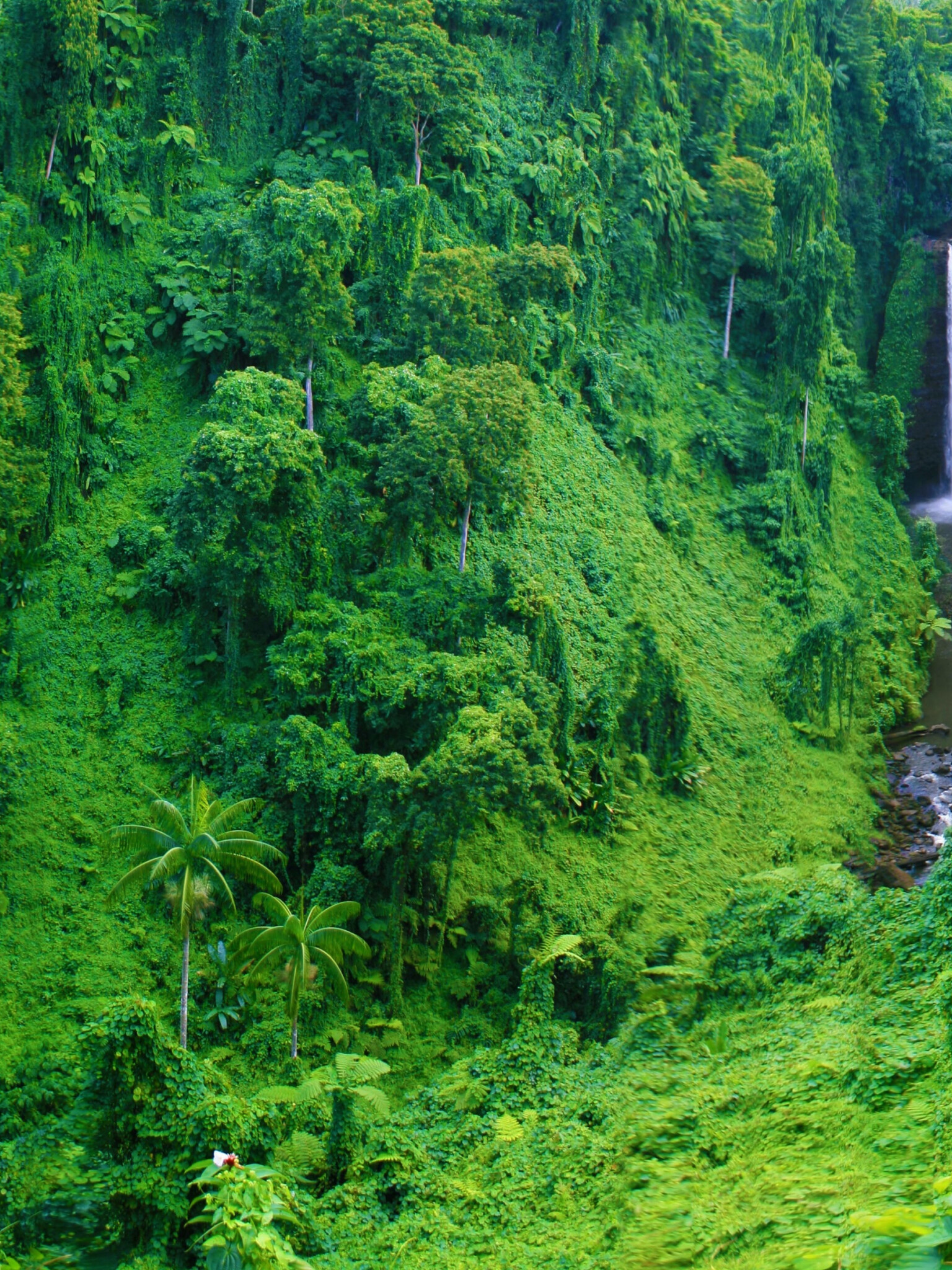 Jungle waterfall, 4K HD wallpaper, Dual monitor, Nature's serenity, 1540x2050 HD Phone