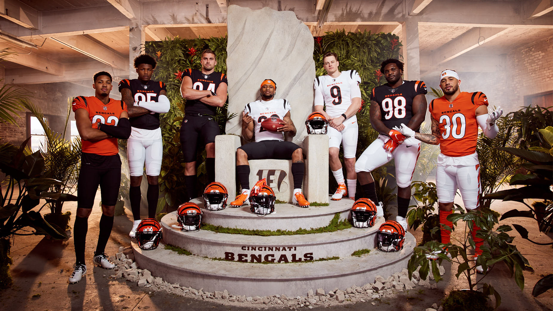 Cincinnati Bengals, Passionate fans, Wallpapers showcasing team spirit, 1920x1080 Full HD Desktop