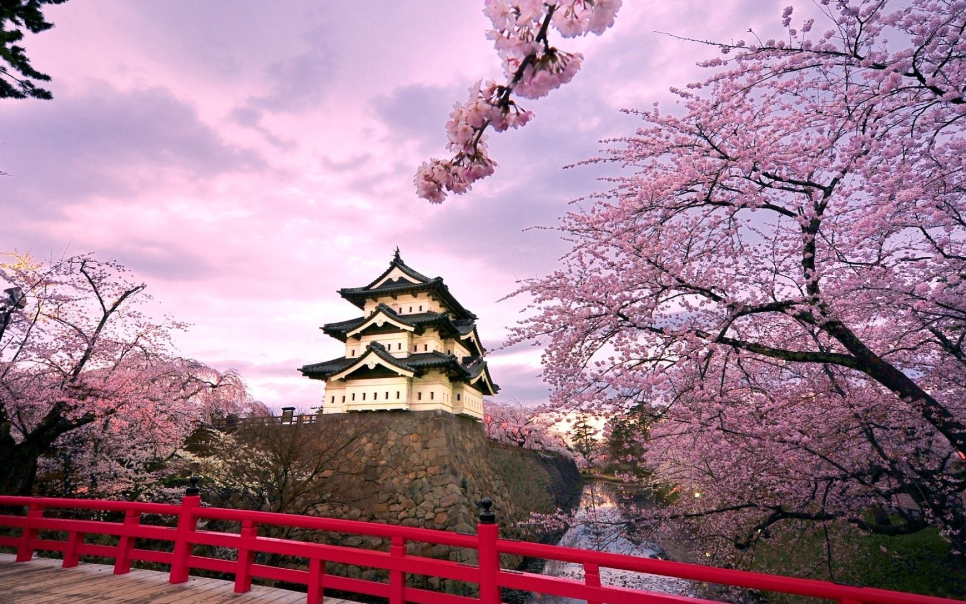 Matsumoto Castle wallpapers, Wallworld, Striking visuals, Castle fascination, 1920x1200 HD Desktop